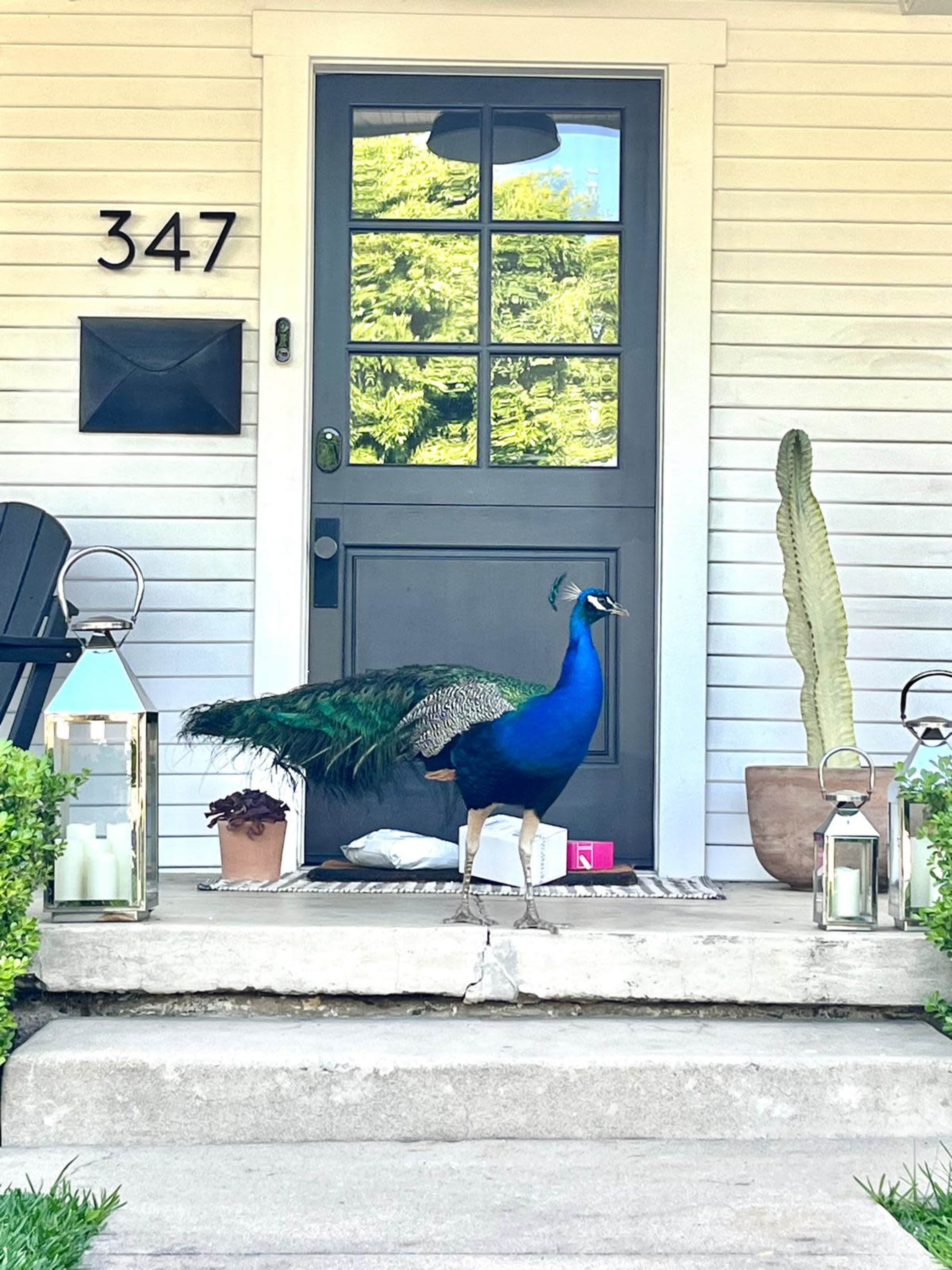 Light-Filled Craftsman Space in Historic Bungalow Heaven Image in Glendora, Glendora, CA
