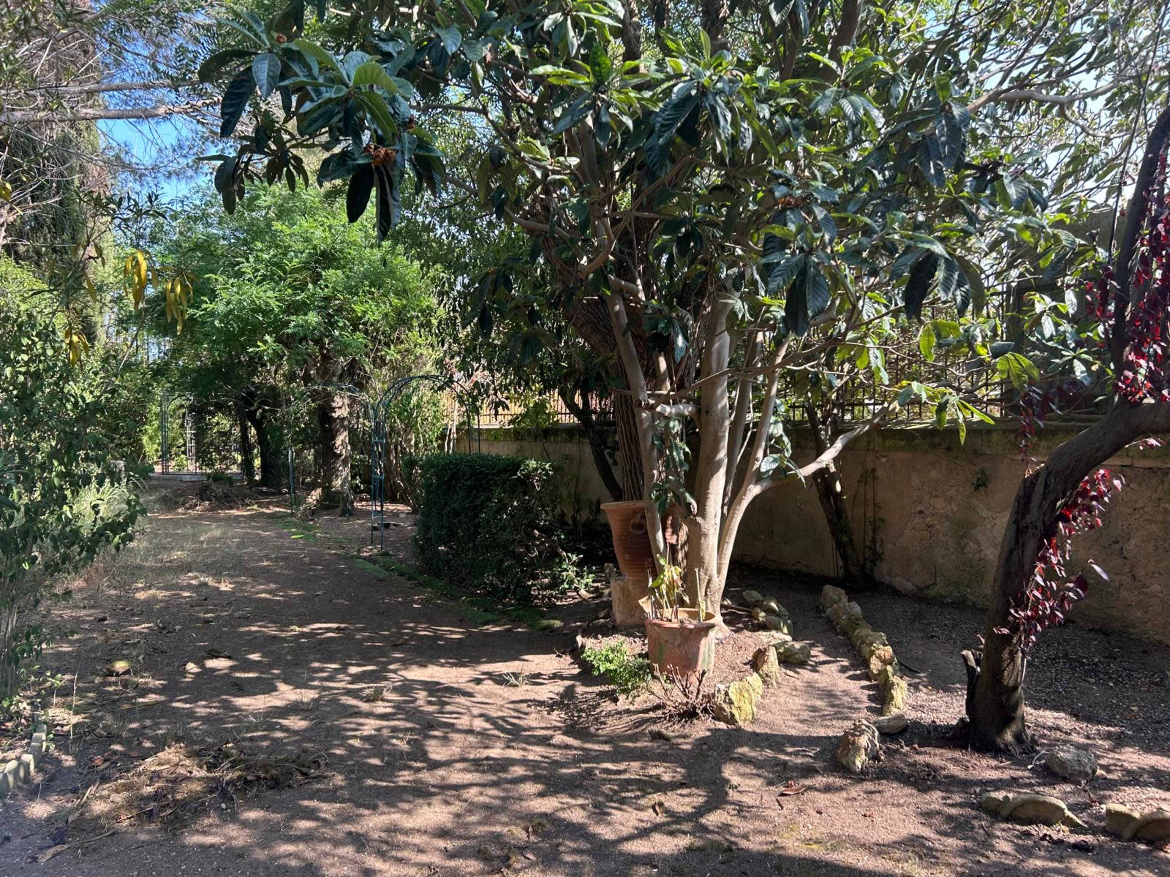 A dirt path winds through a garden lined with trees and shrubs.