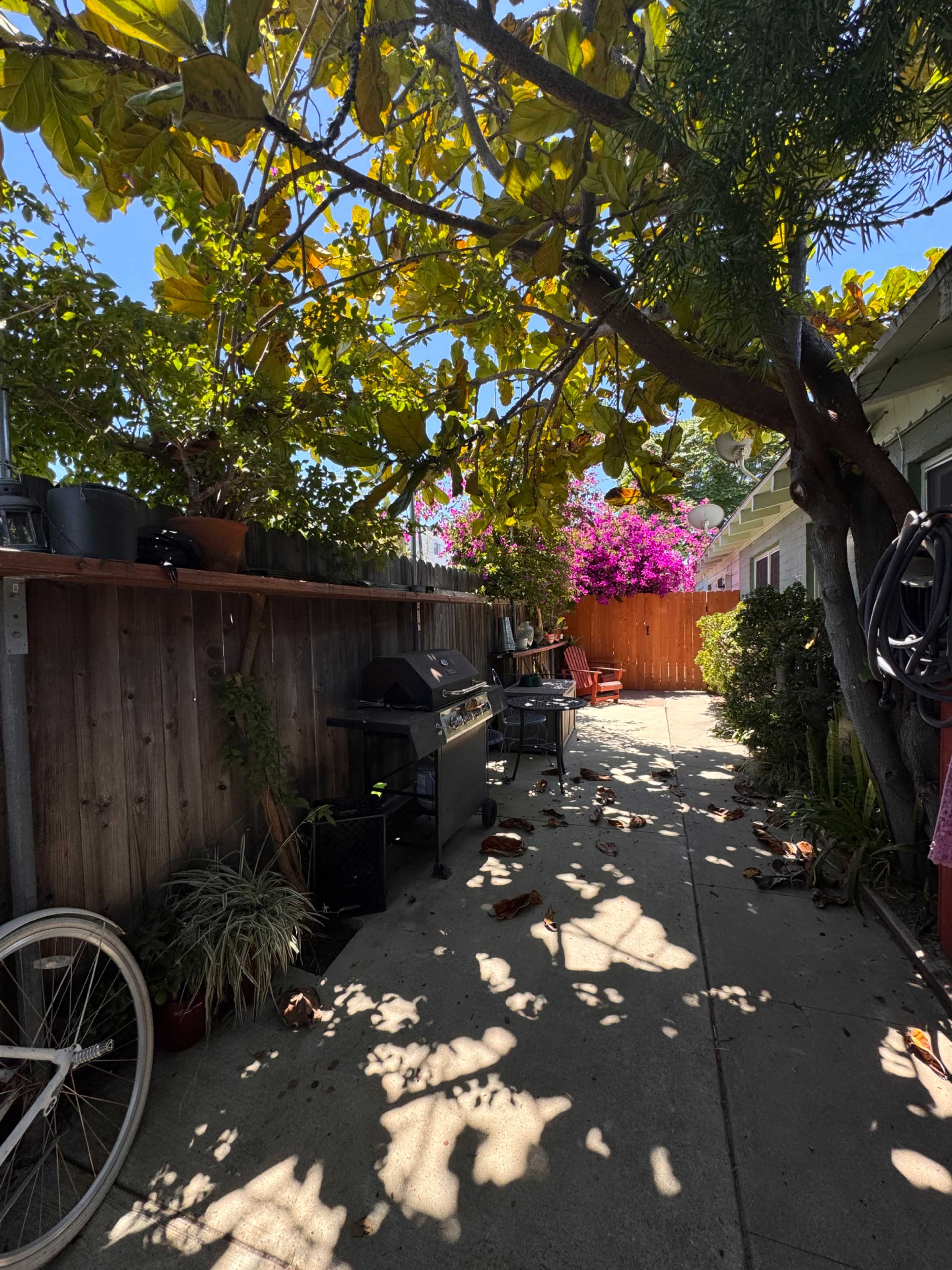 A narrow, shaded pathway is lined with plants and a barbecue grill, leading to a wooden fence adorned with vibrant bougainvillea.