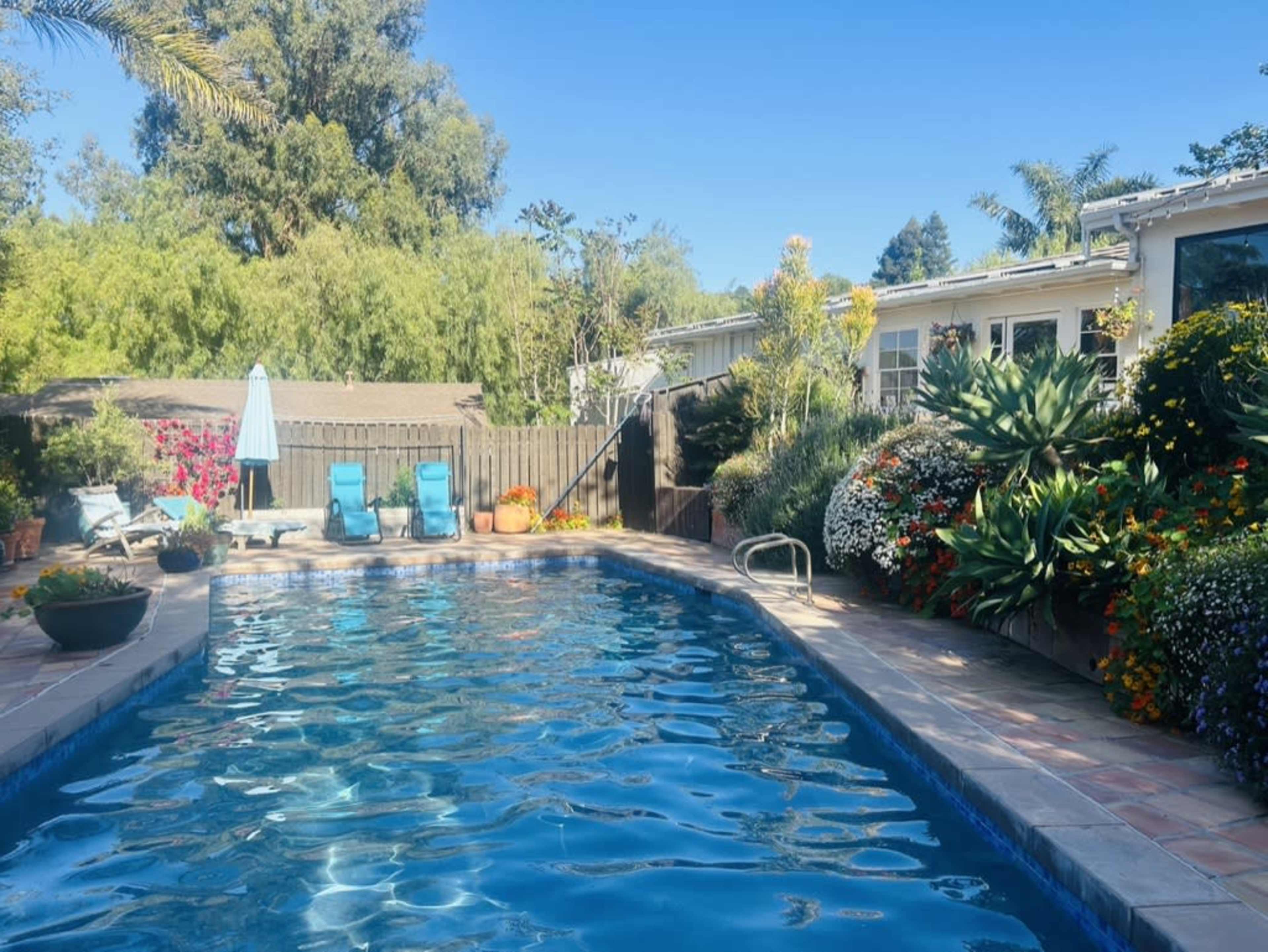 A clear swimming pool bordered by colorful plants and lounge chairs, with a house and trees in the background.