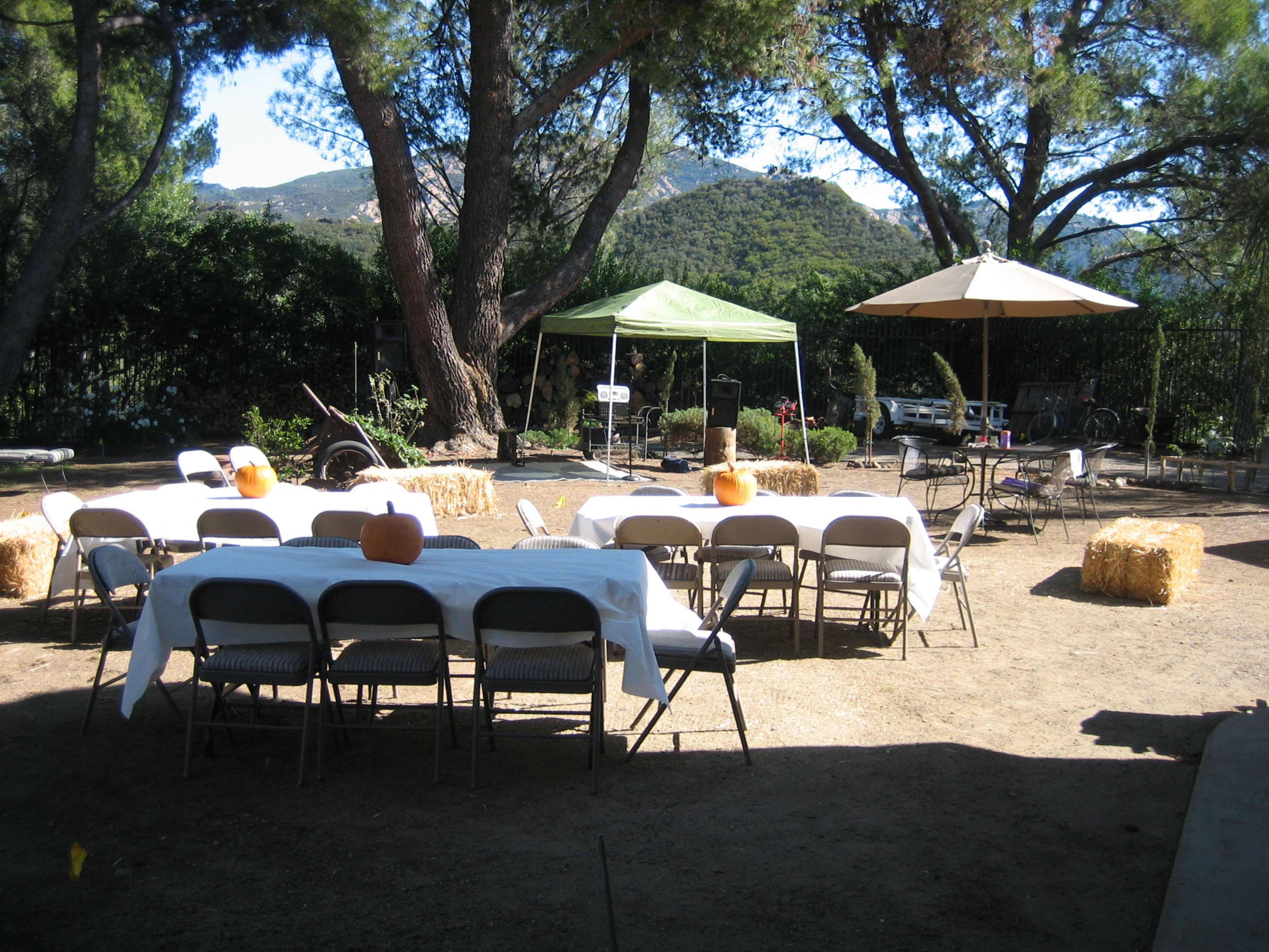 A gathering area features several tables with white tablecloths, pumpkins as centerpieces, and shaded areas created by tents and umbrellas.