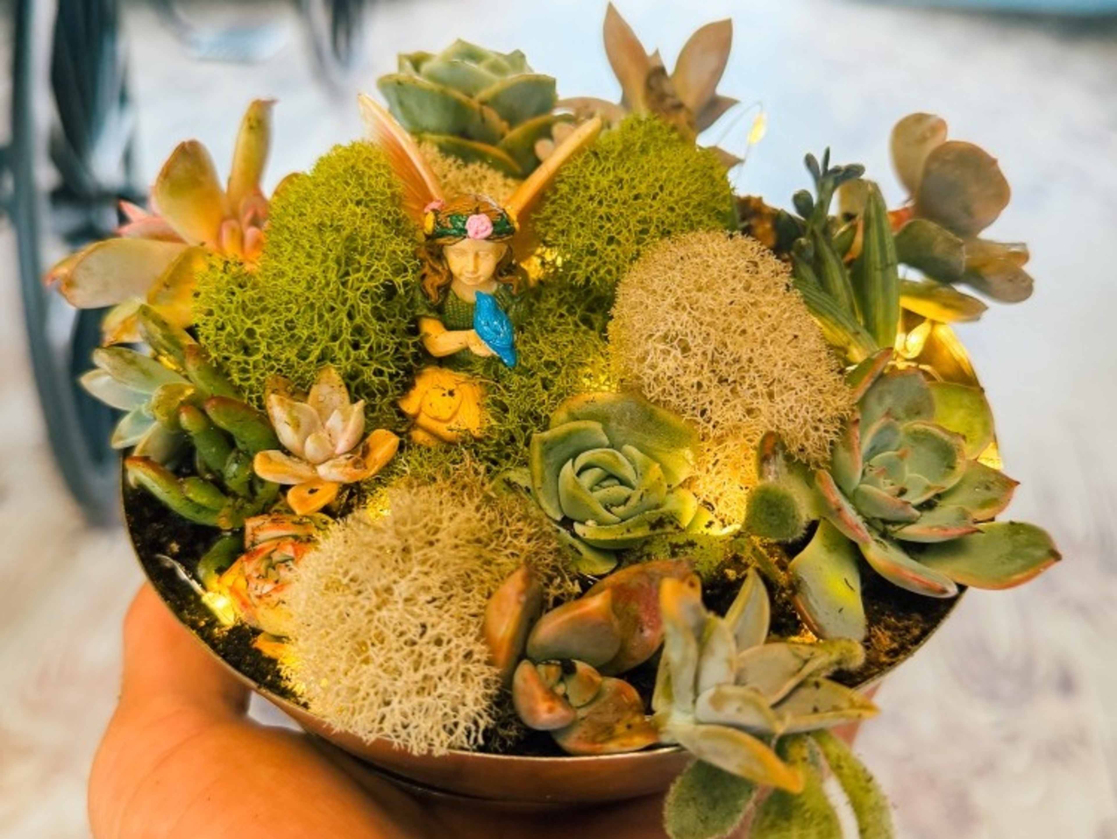 Moss & Magic: Fairy Garden Terrarium 