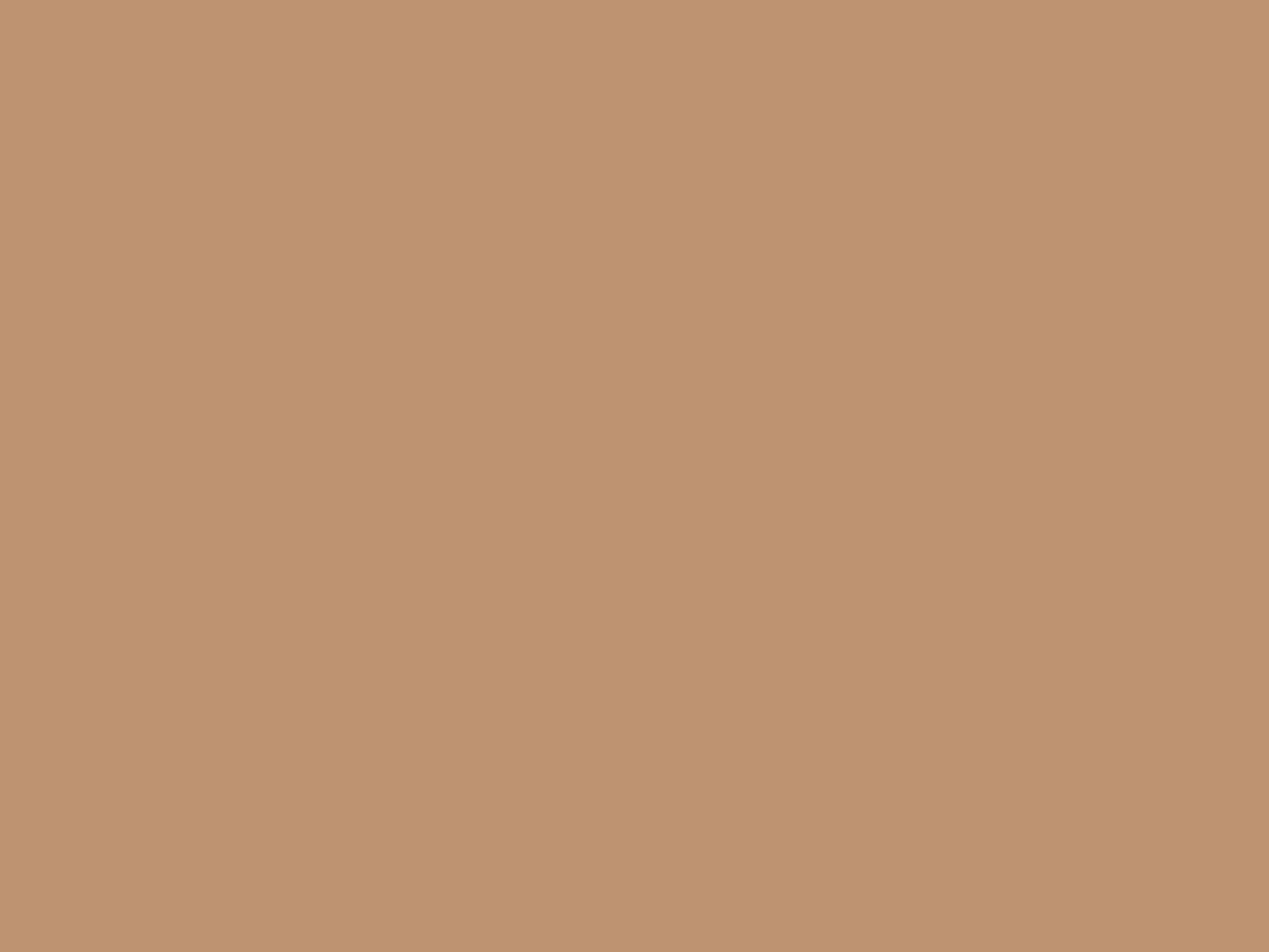 107" Seamless Paper MOCHA (Savage #76)