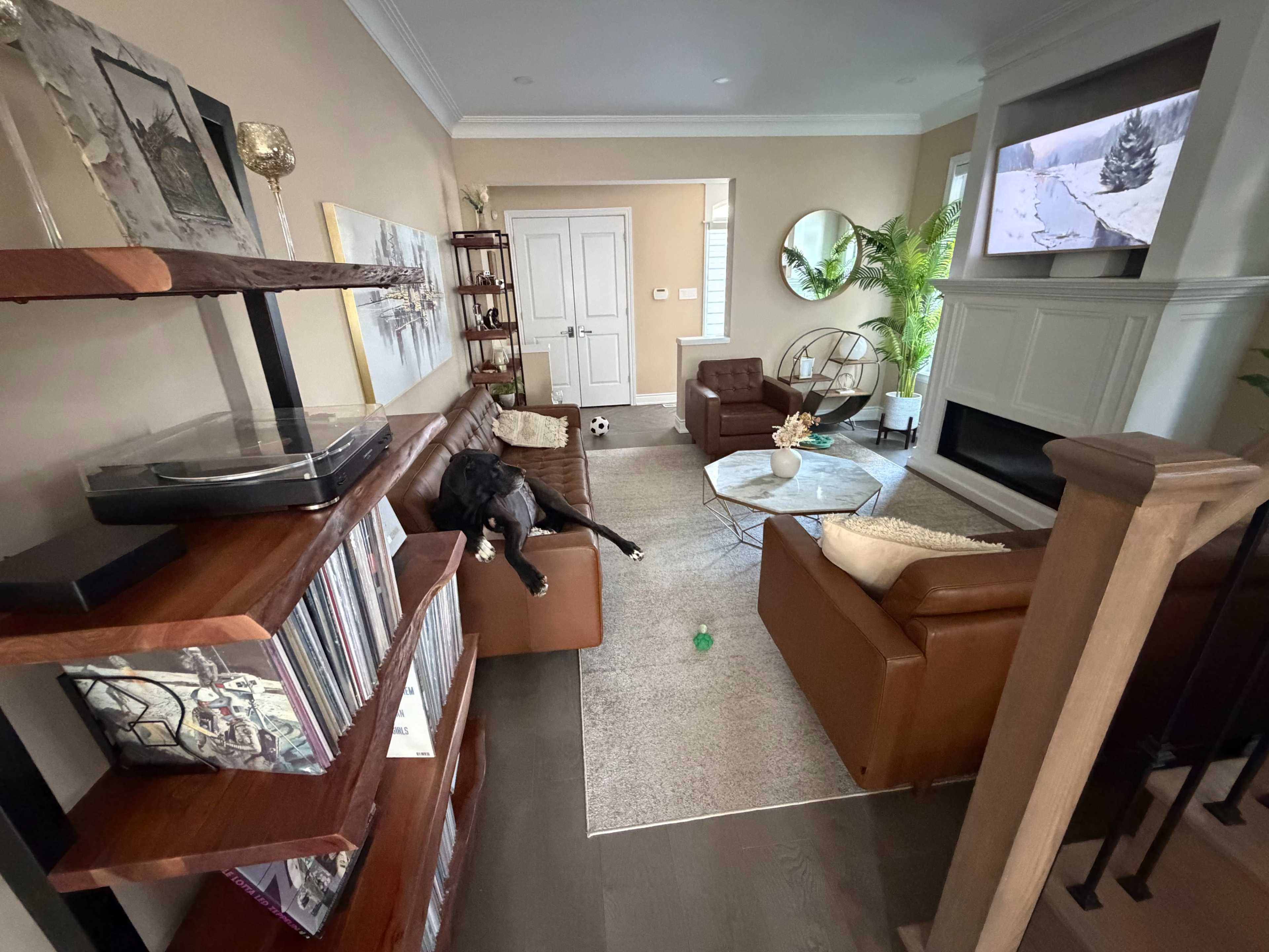 The image shows a living room with a modern design featuring two brown chairs, a round coffee table, a bookshelf filled with records, and a black dog lounging on a couch.