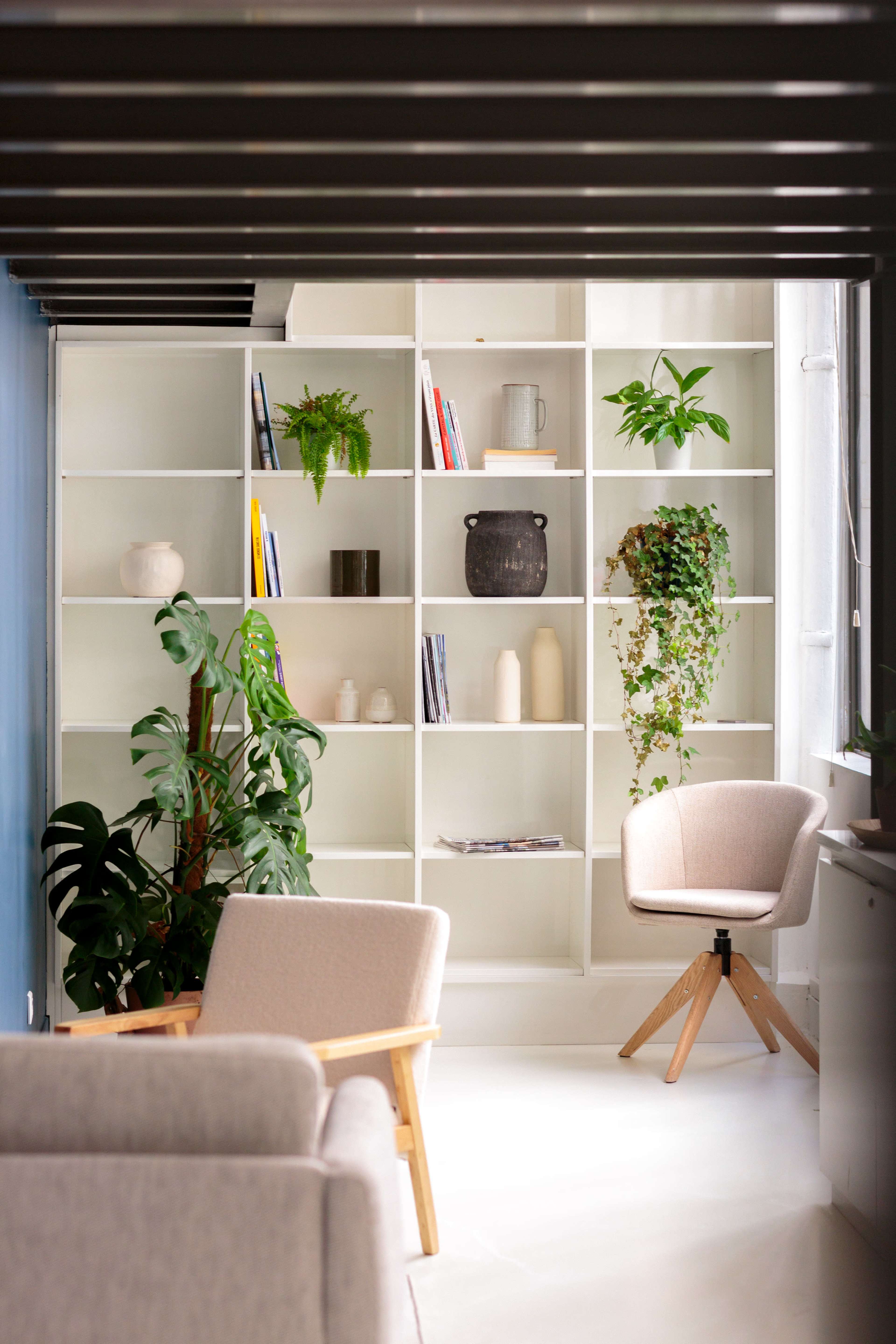 The image shows a bright, modern interior featuring a minimalist bookshelf with plants and decor, alongside a comfortable chair and sofa.