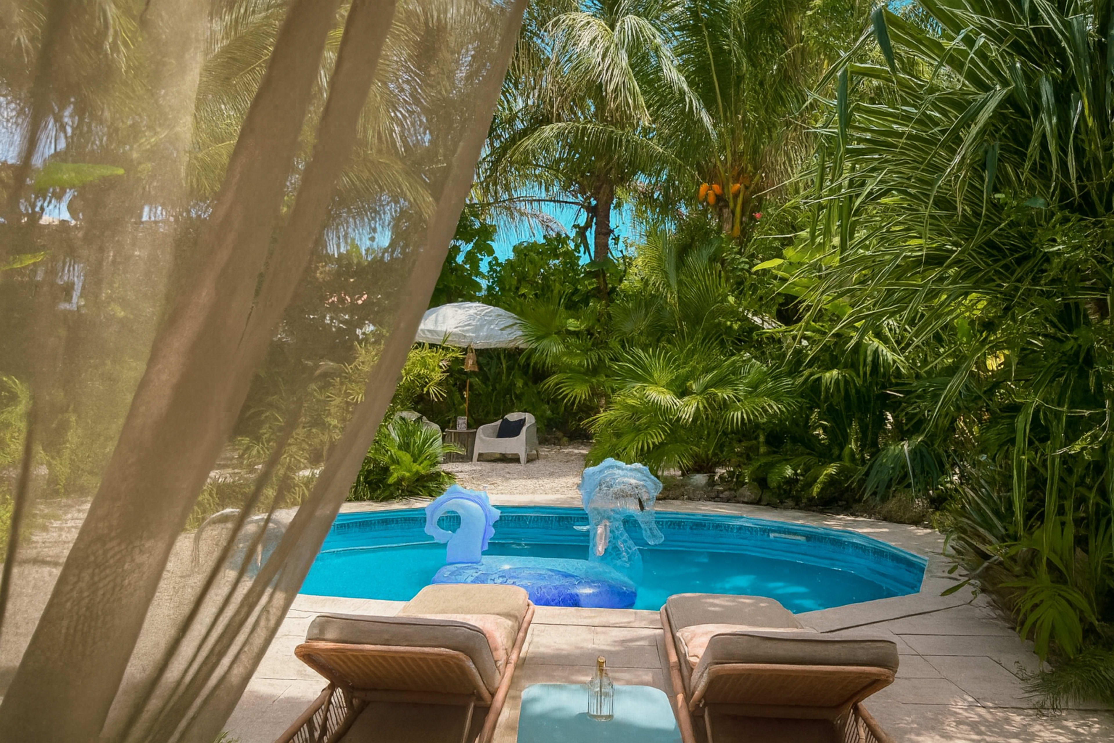 The Santuario – Tropical Miami Photoshoot Location w/ Pool, Gardens & Boho Vibes Image in Coral Way, Miami, FL