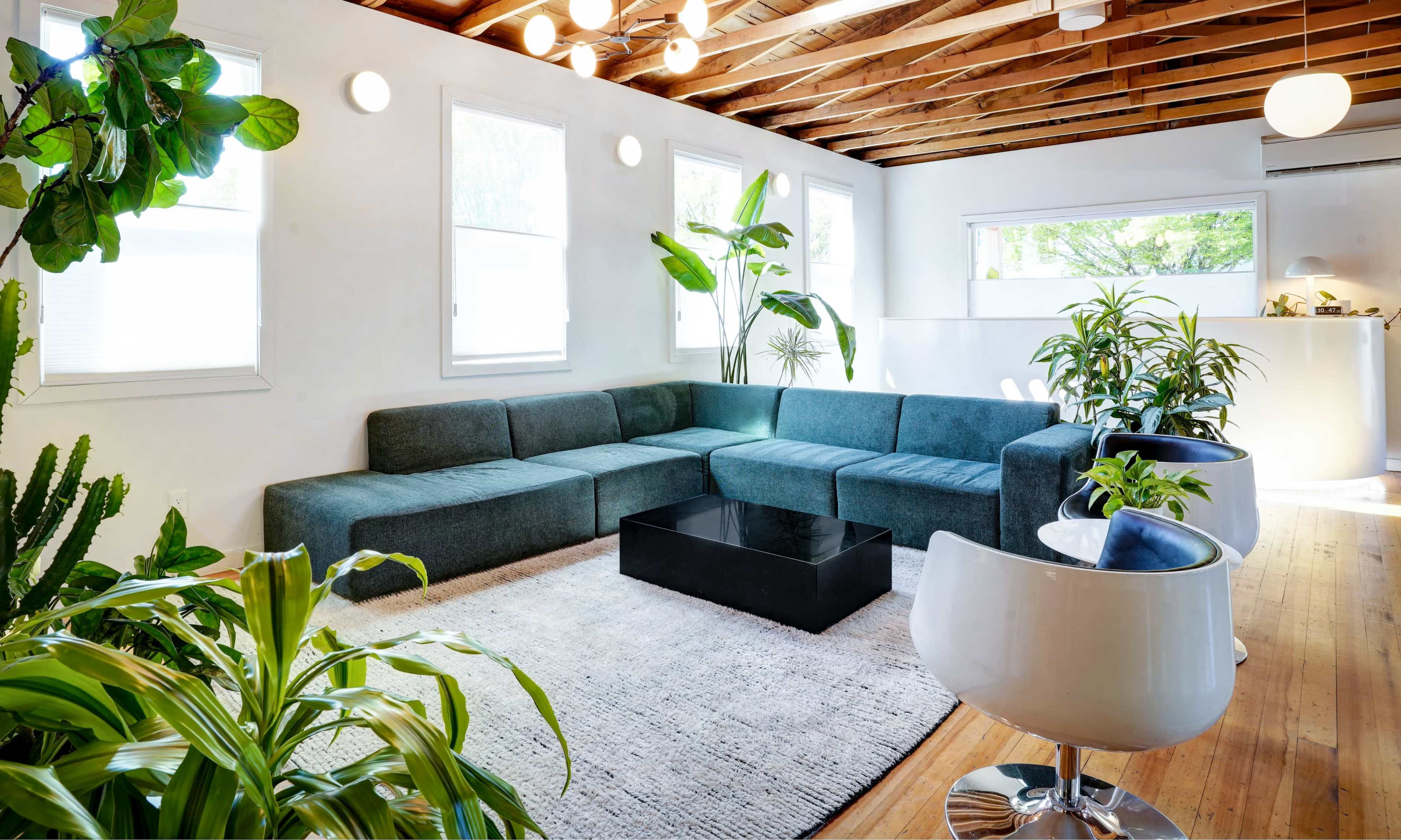 The image features a modern living room with a large sectional couch, a black coffee table, and various indoor plants, illuminated by natural light from multiple windows.