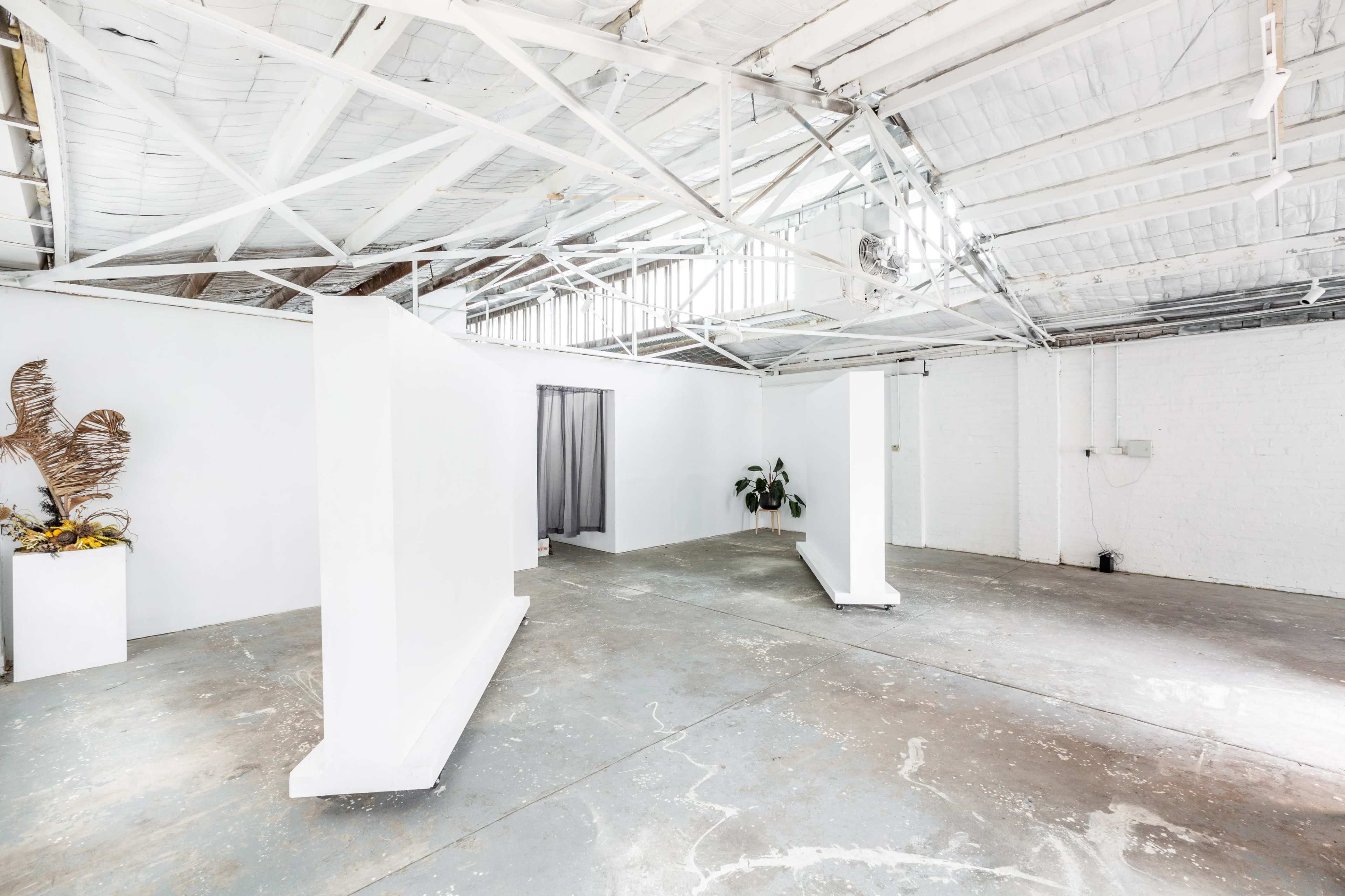 A spacious, minimalist interior with white walls, concrete flooring, and a few decorative plants.