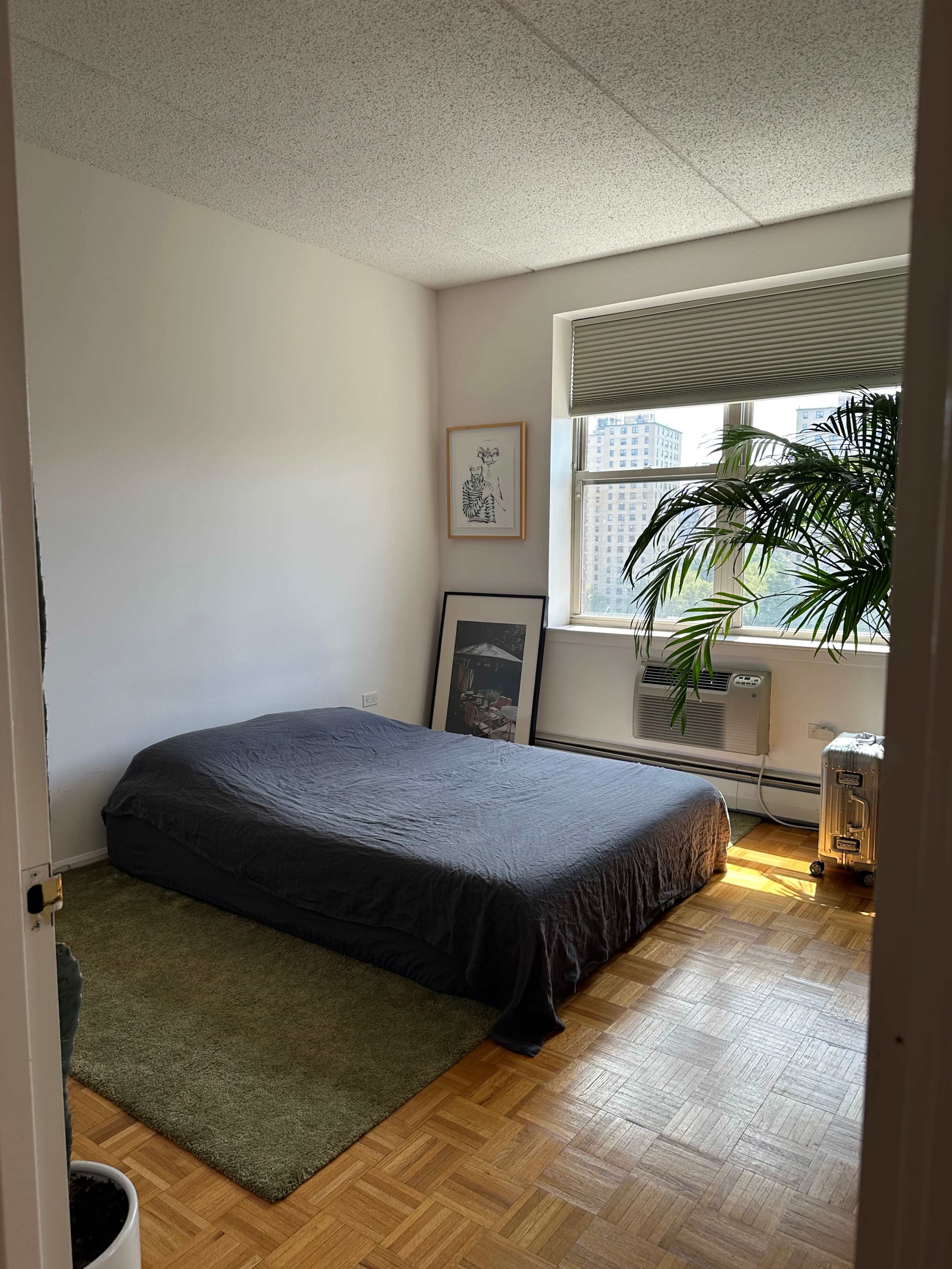 A simple bedroom featuring a bed with a gray coverlet, a green area rug, and a window with a view of a cityscape, accompanied by a large potted plant.
