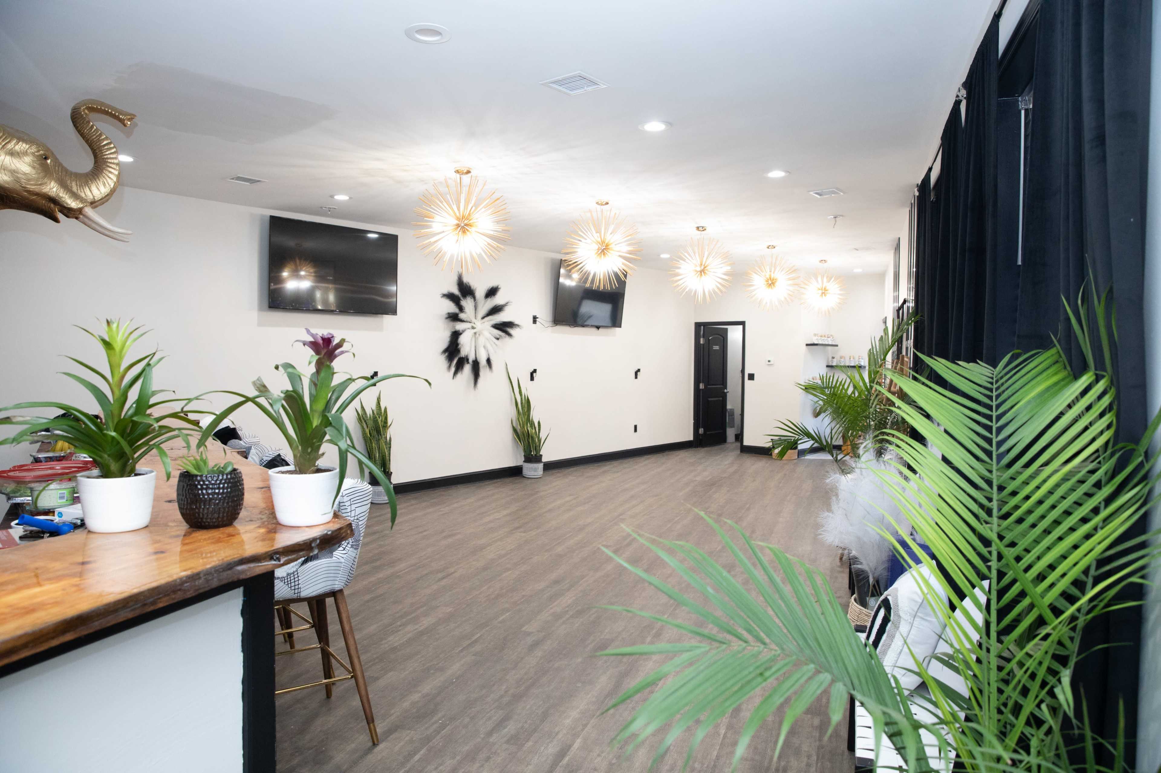 A modern interior space featuring a long wooden counter, several potted plants, and decorative light fixtures along a well-lit wall.
