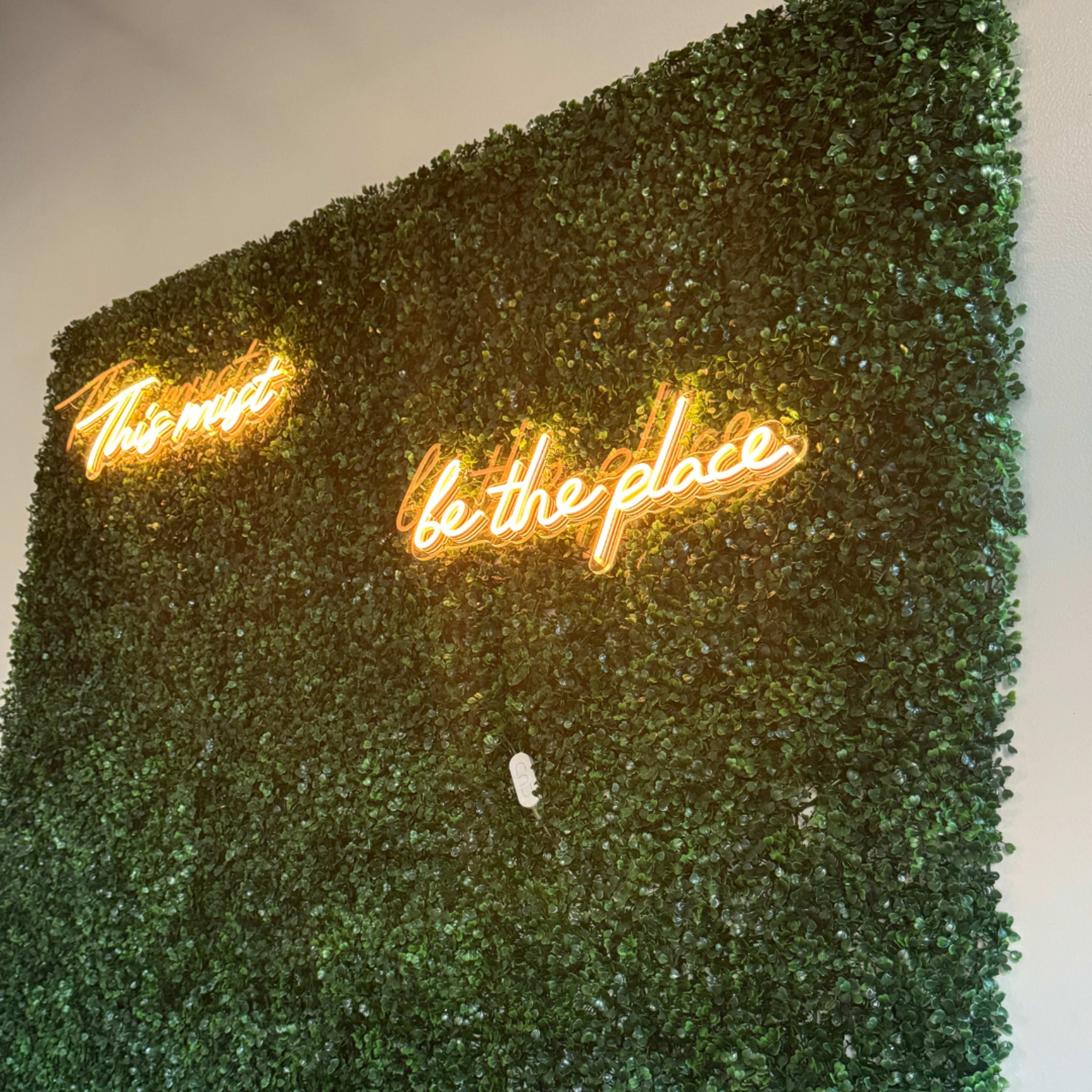 The image features a wall covered in green foliage with two neon signs that read "This must" and "be the place."