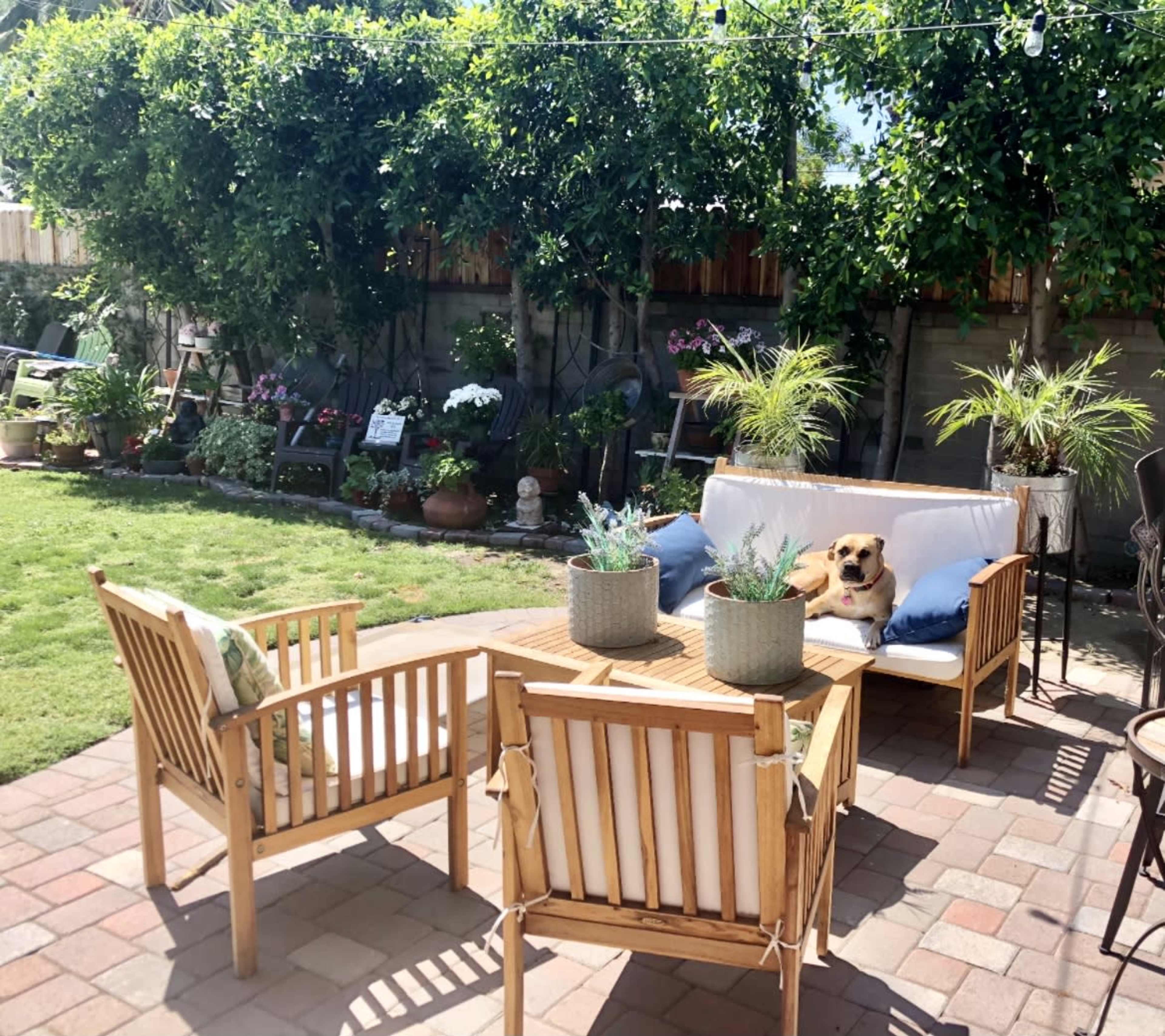 A cozy outdoor seating area with wooden furniture surrounded by greenery and potted plants.