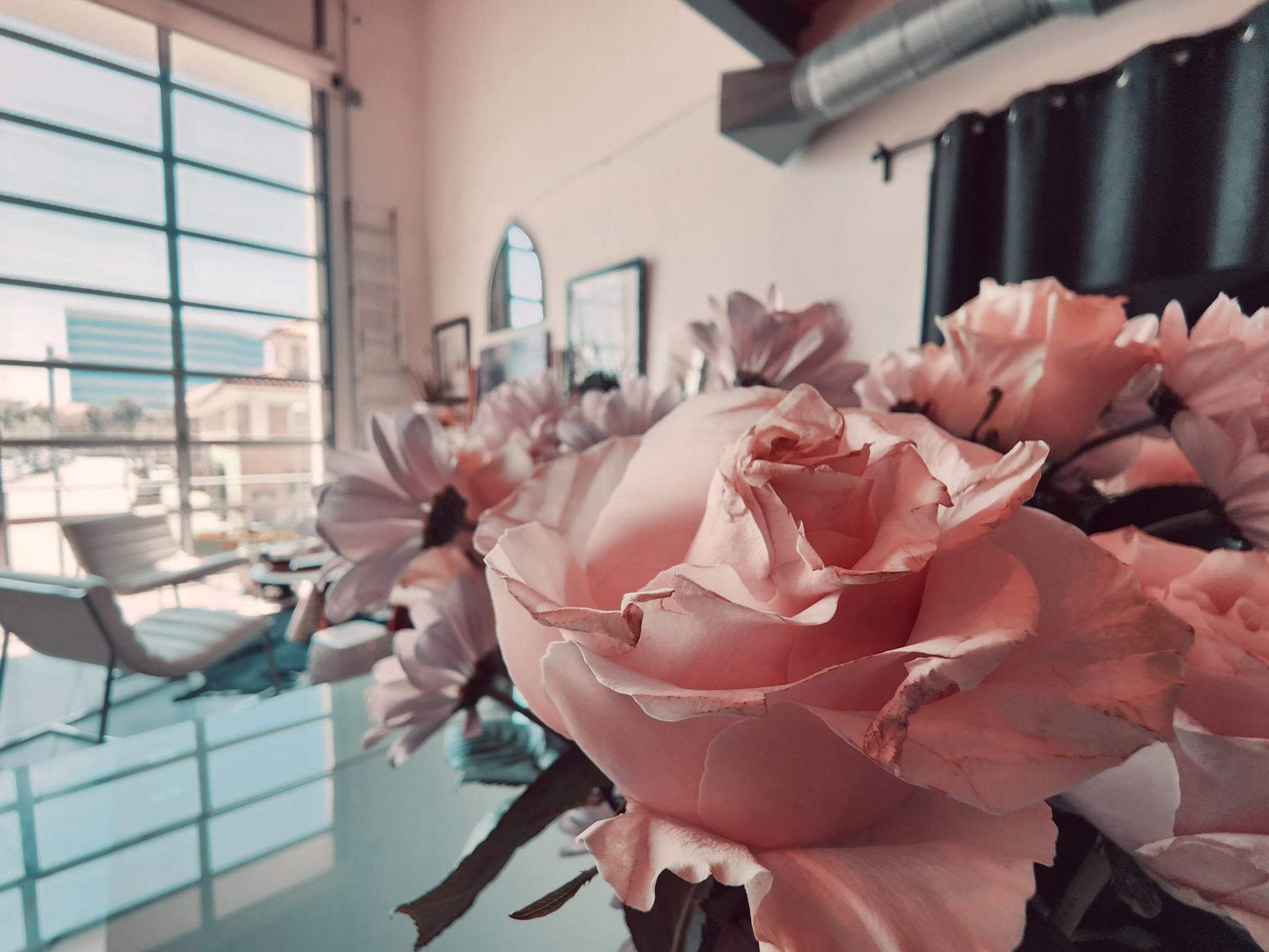 A close-up of pink roses and white flowers is presented in the foreground, with a bright, open living space visible through large windows in the background.