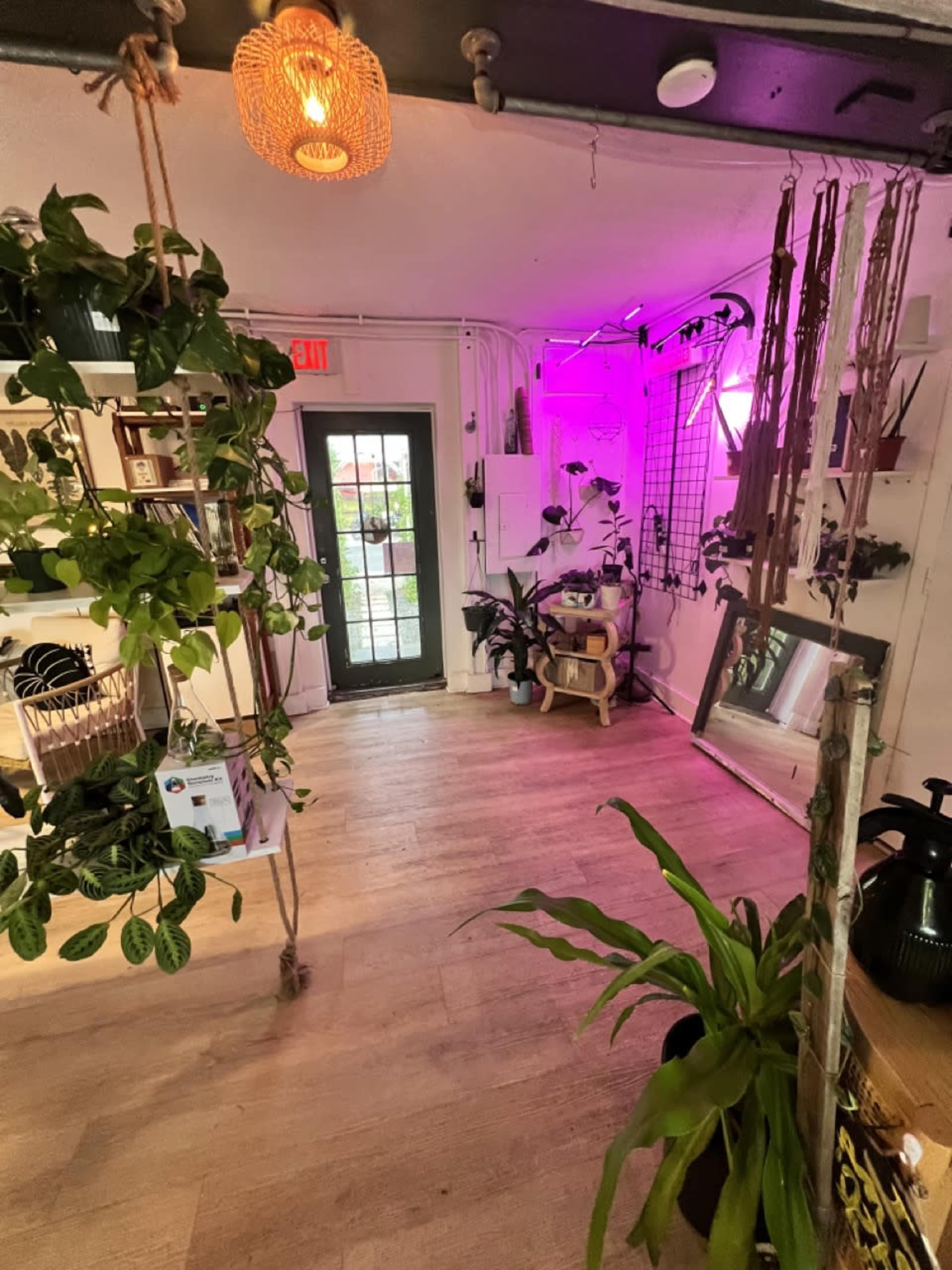 Beachfront Plant Shop & Outdoor Space Image in Flagler Beach, Flagler Beach, FL