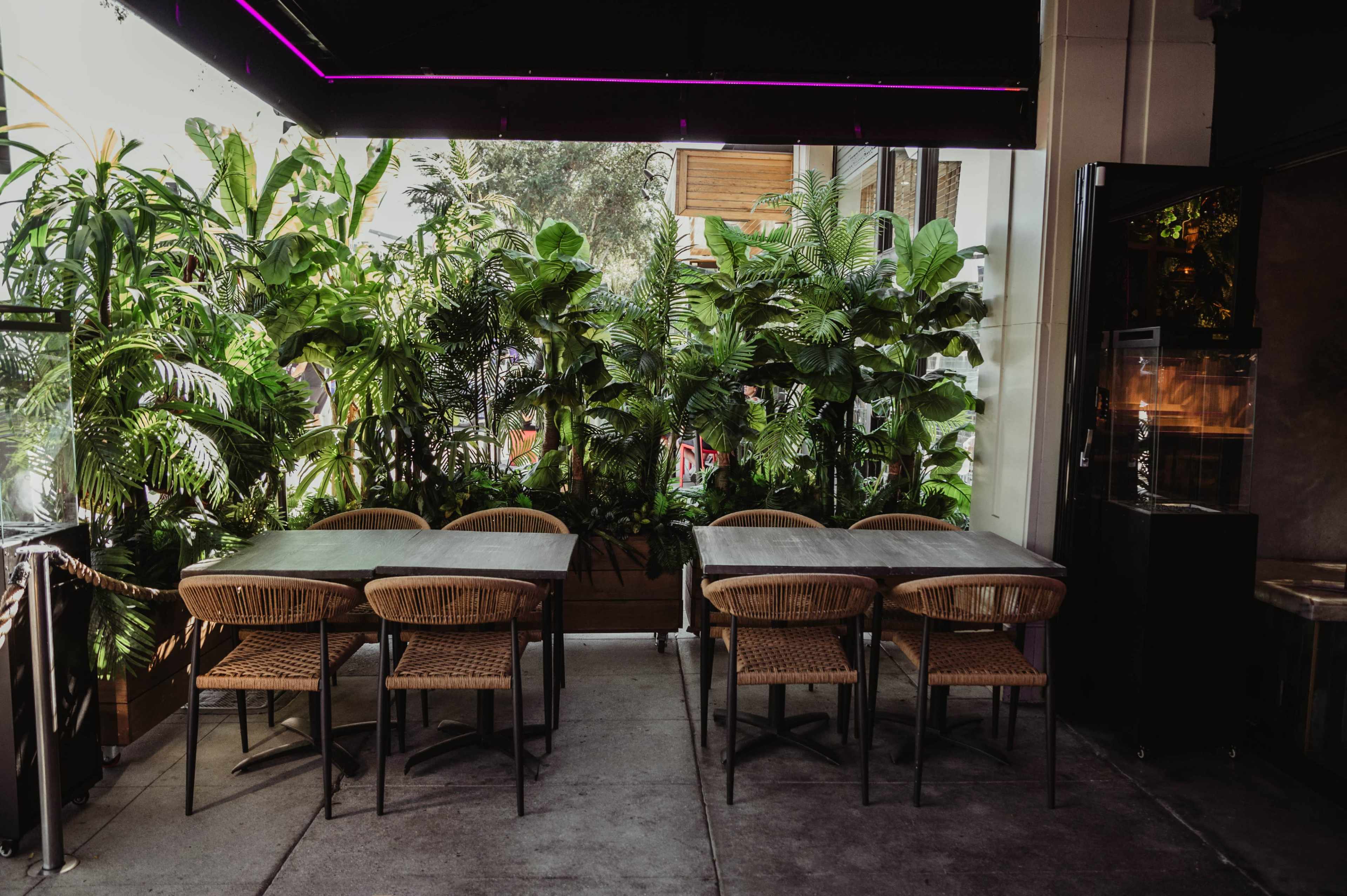 A row of wooden tables and chairs is arranged along a pathway surrounded by lush green plants.