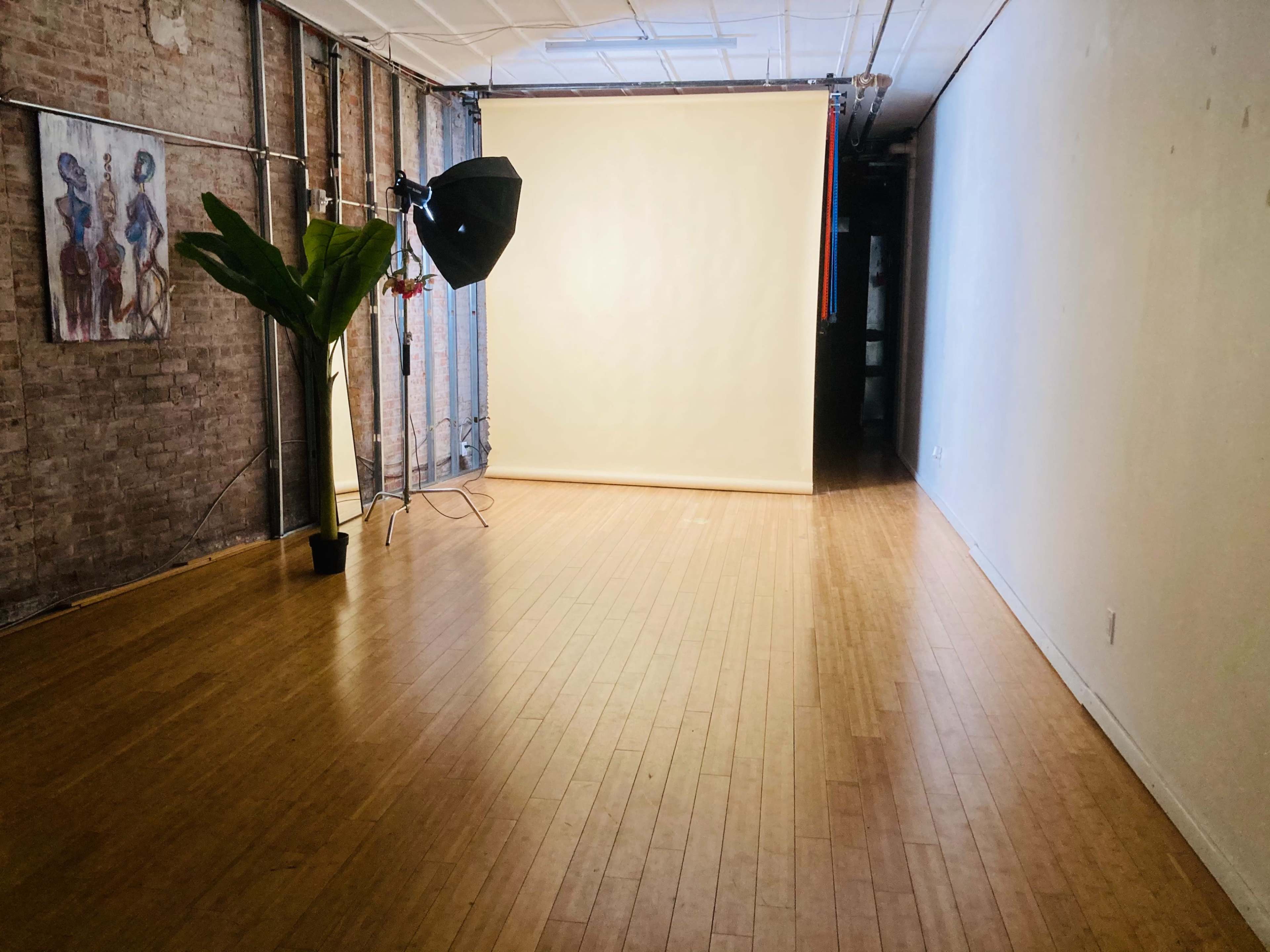 A photography studio with wooden floors, a light setup facing a blank backdrop, and a potted plant in one corner.