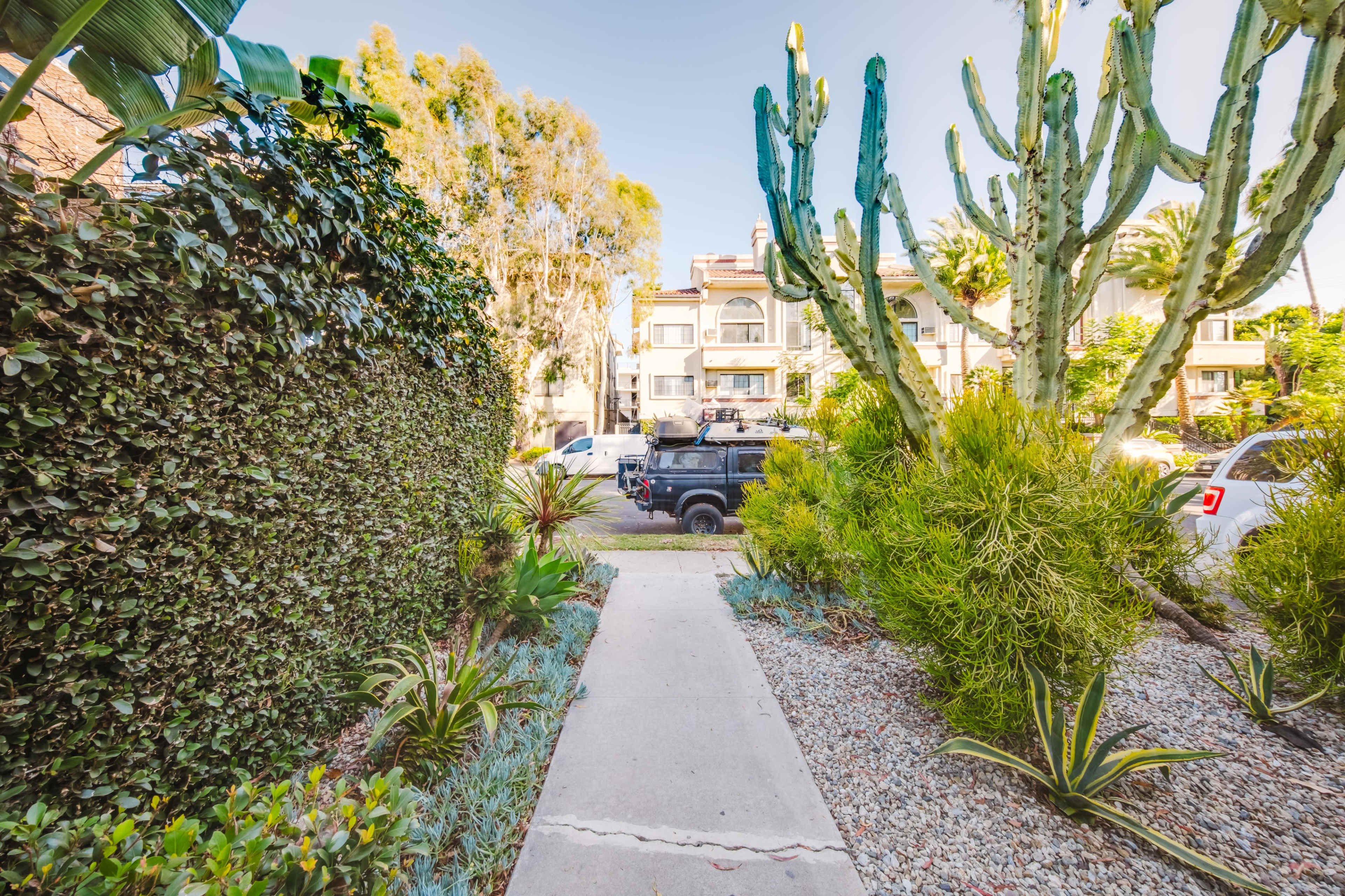A narrow concrete pathway leads through greenery and cacti towards a group of buildings in the background.