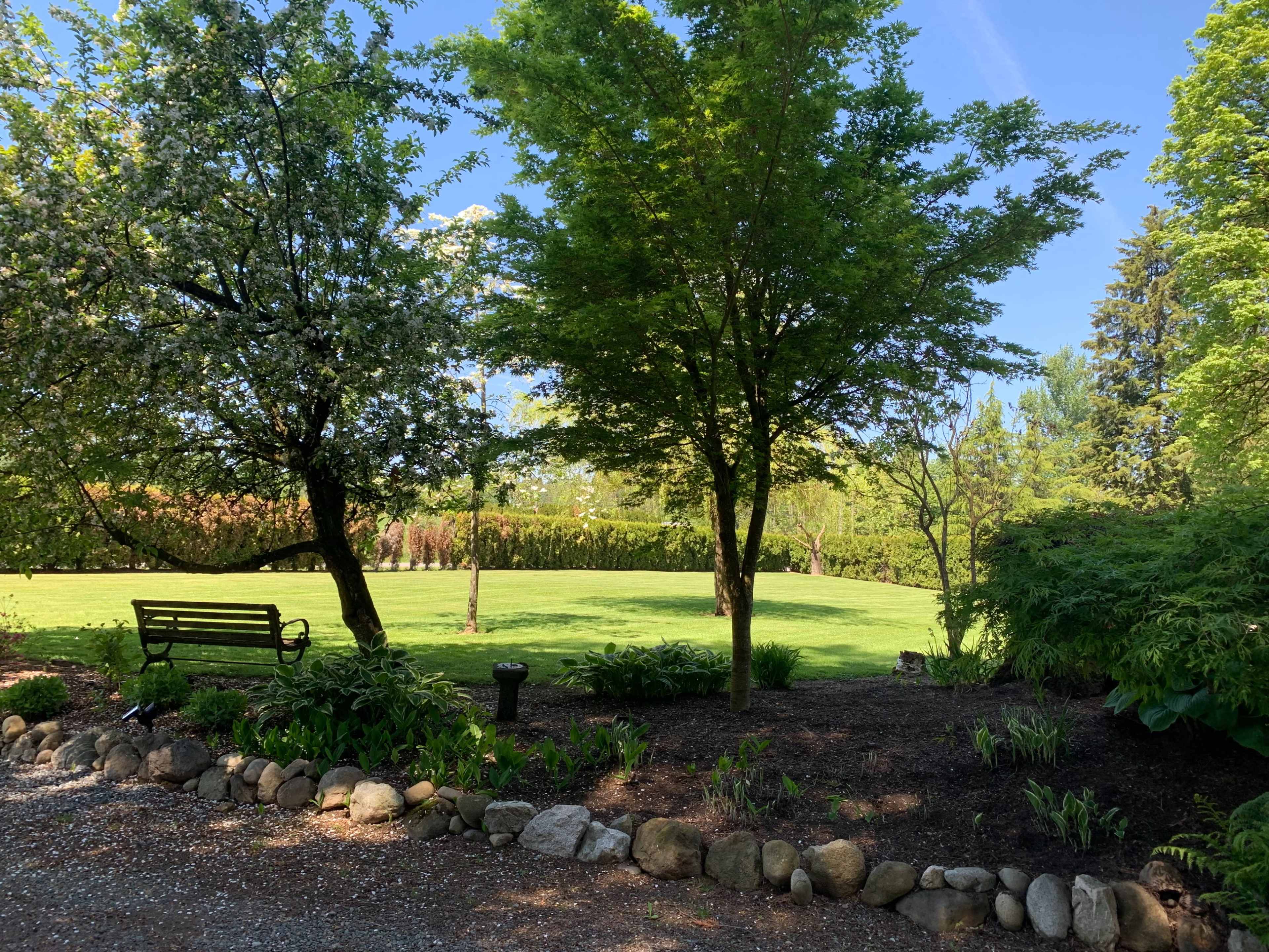 A serene garden scene with two trees, a wooden bench, and a grassy area surrounded by a stone border.