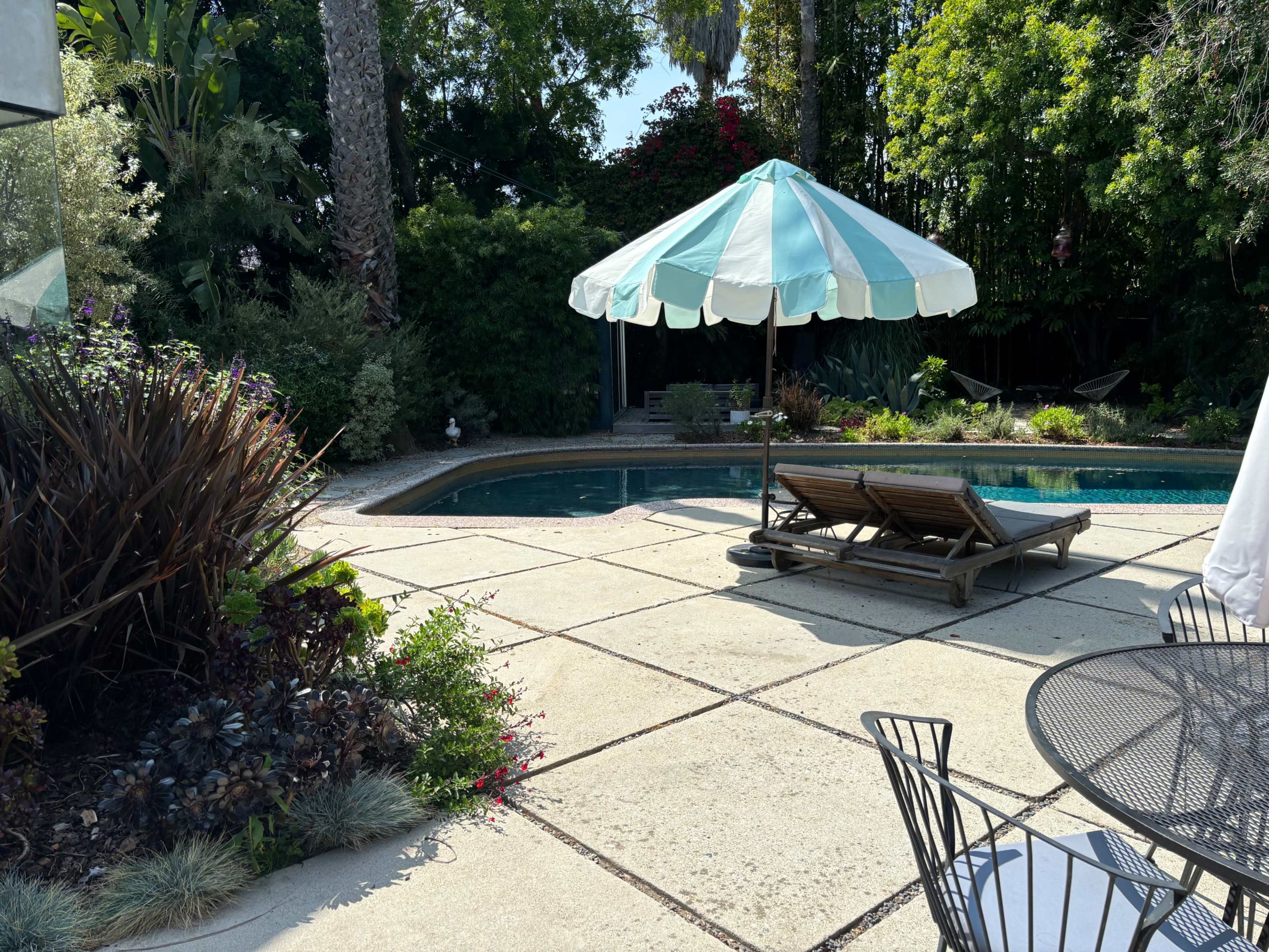 Big, lush Venice backyard with pool Image in Venice, Venice, CA