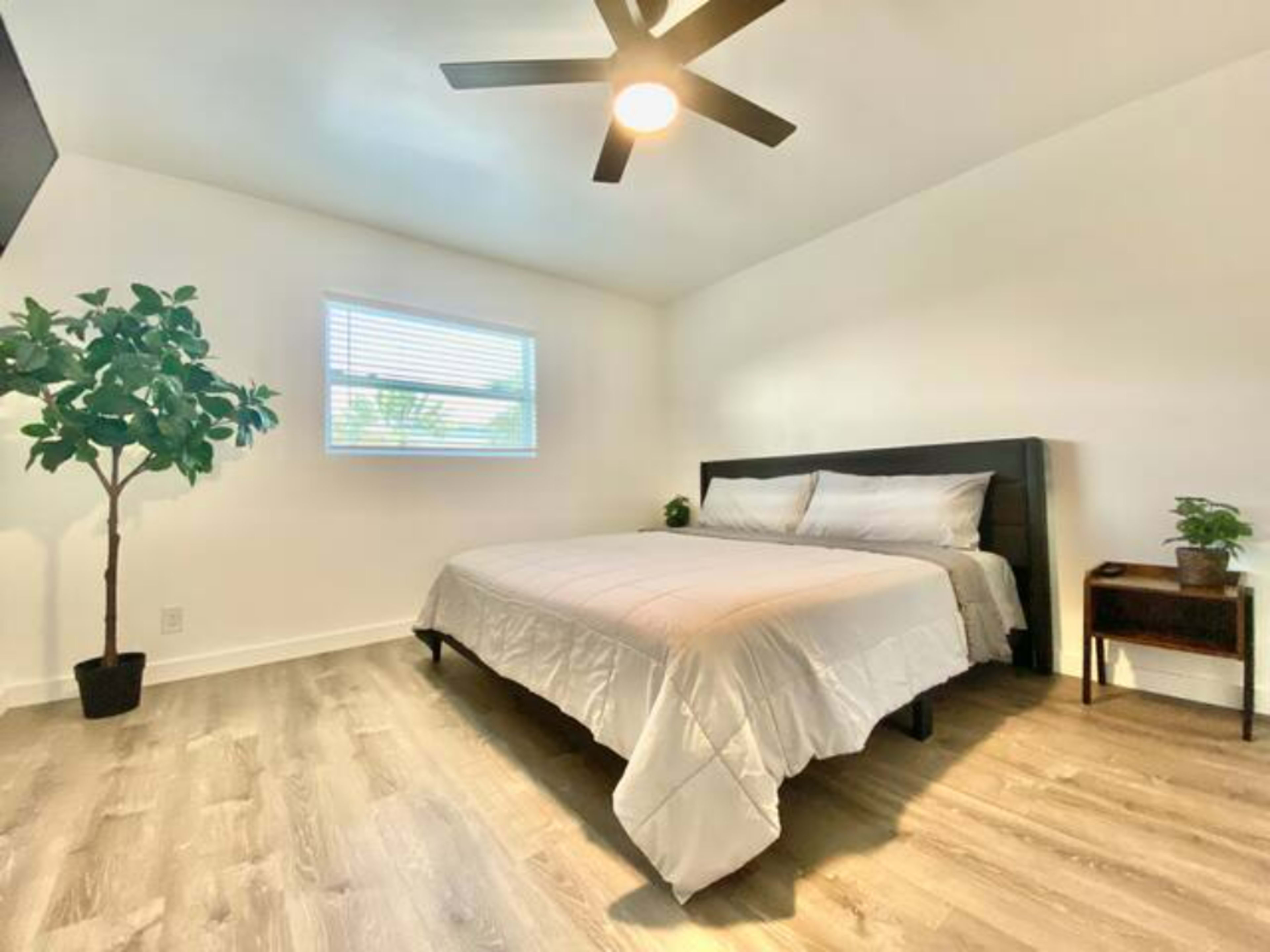 A well-lit bedroom features a queen-sized bed, a nightstand, a potted plant, and a ceiling fan.