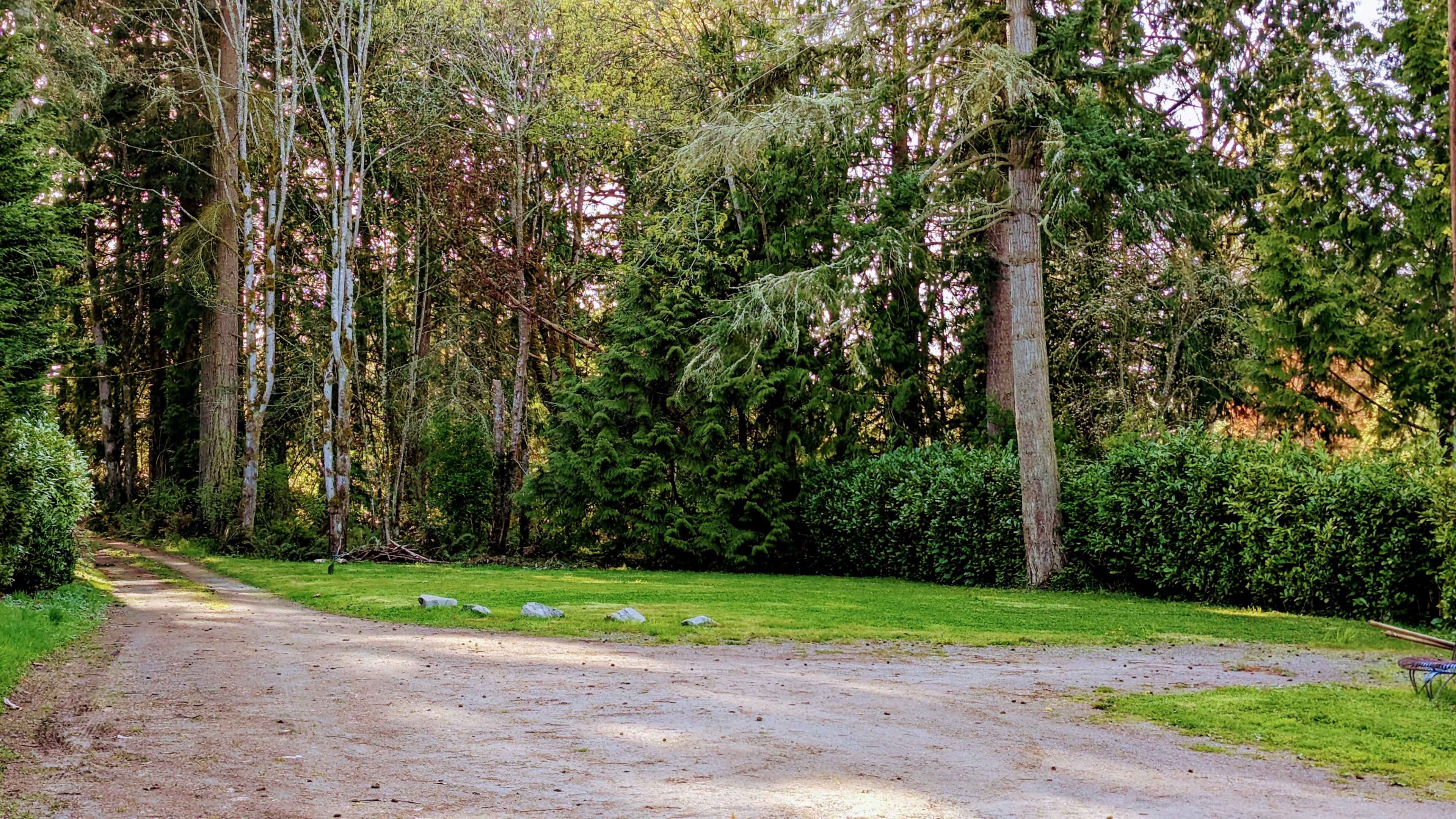 A gravel path leads through a forested area with tall trees and a patch of green grass.