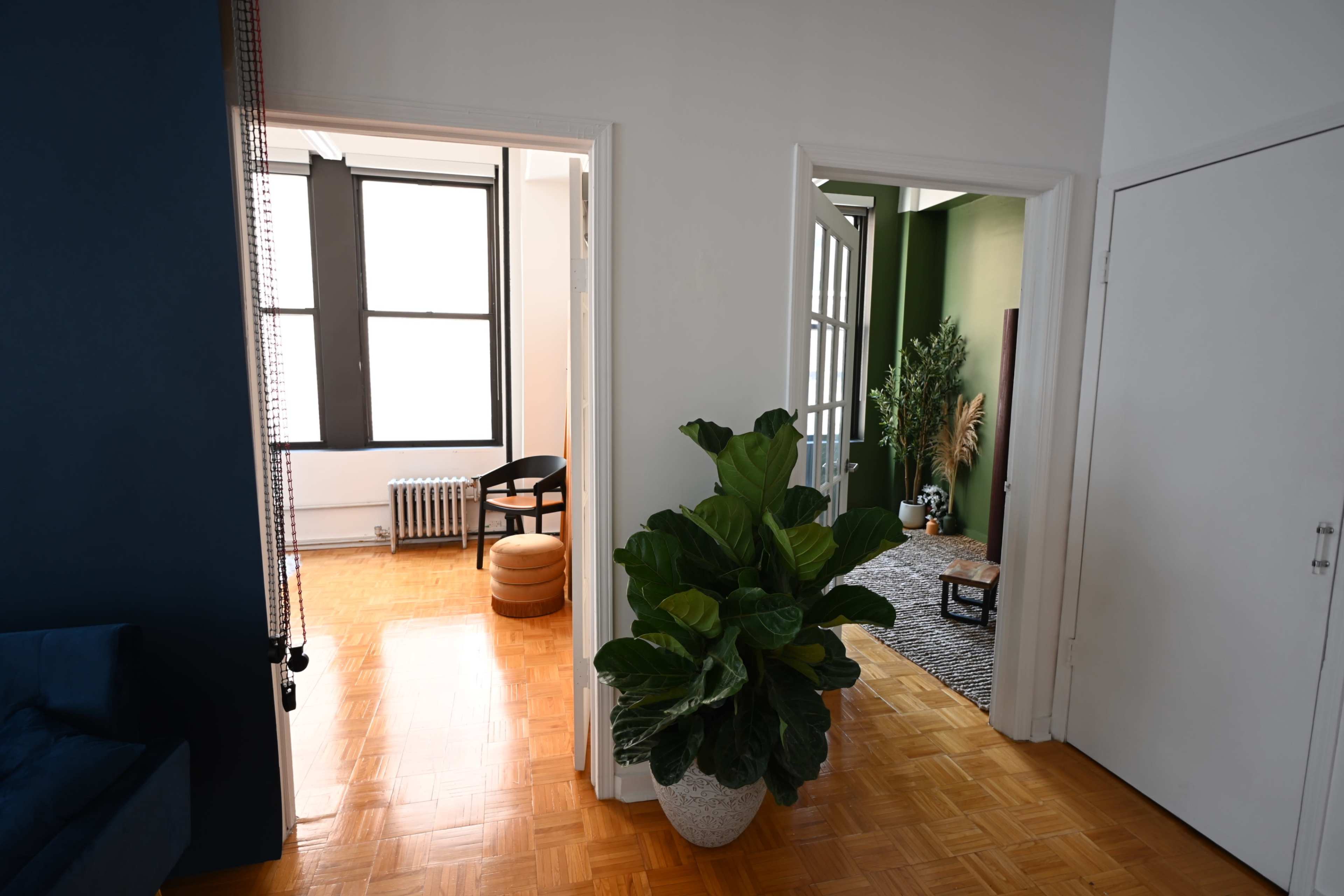 The image shows a bright, open space with a plant in a pot near a hallway leading to two adjoining rooms.