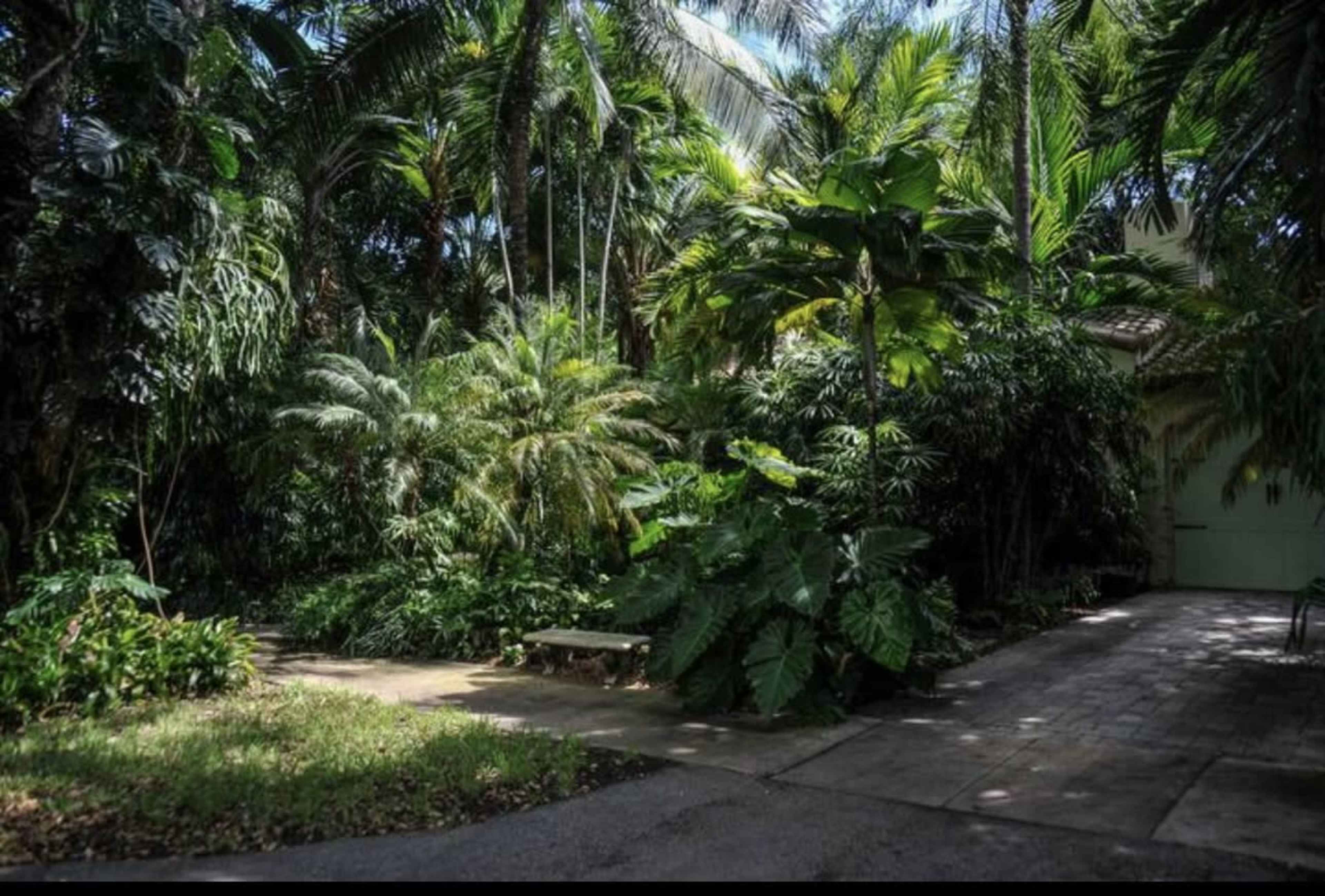The image shows a lush garden pathway surrounded by dense tropical plants and trees, leading towards a building partially obscured by foliage.