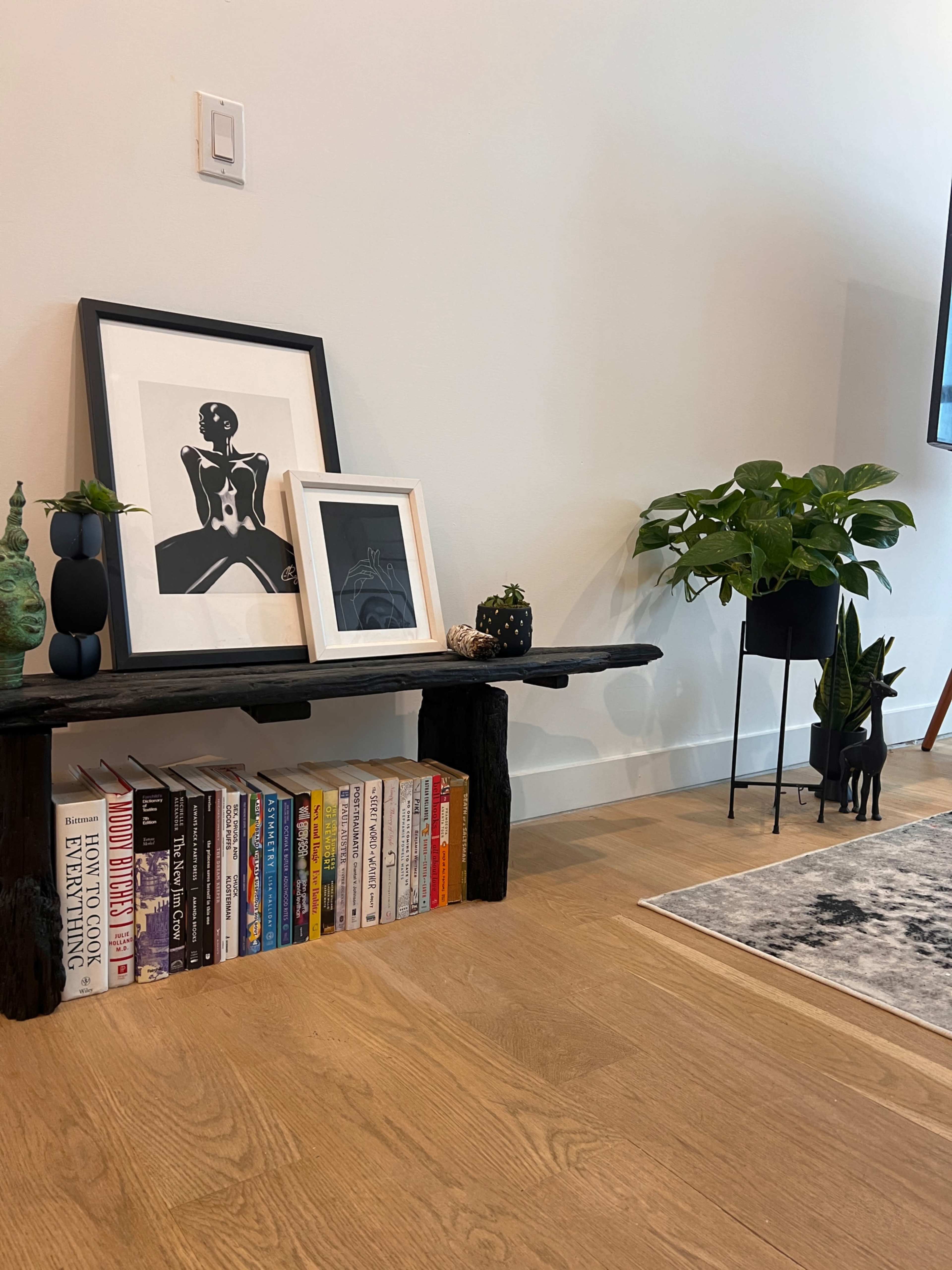 A wooden bench displays a collection of books and framed artwork beside a green plant on a stand.