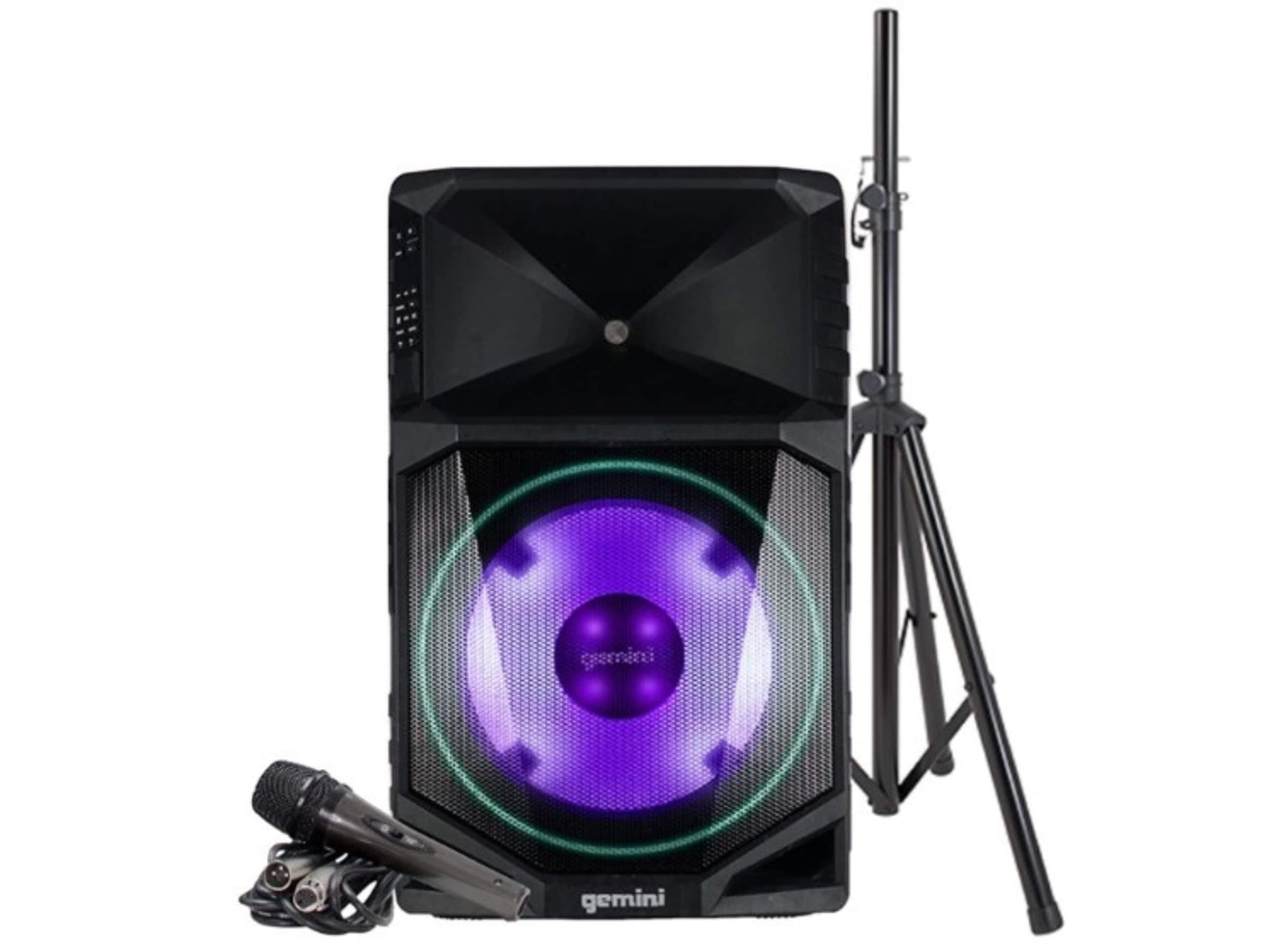 Microphone and Speaker PA system (included)