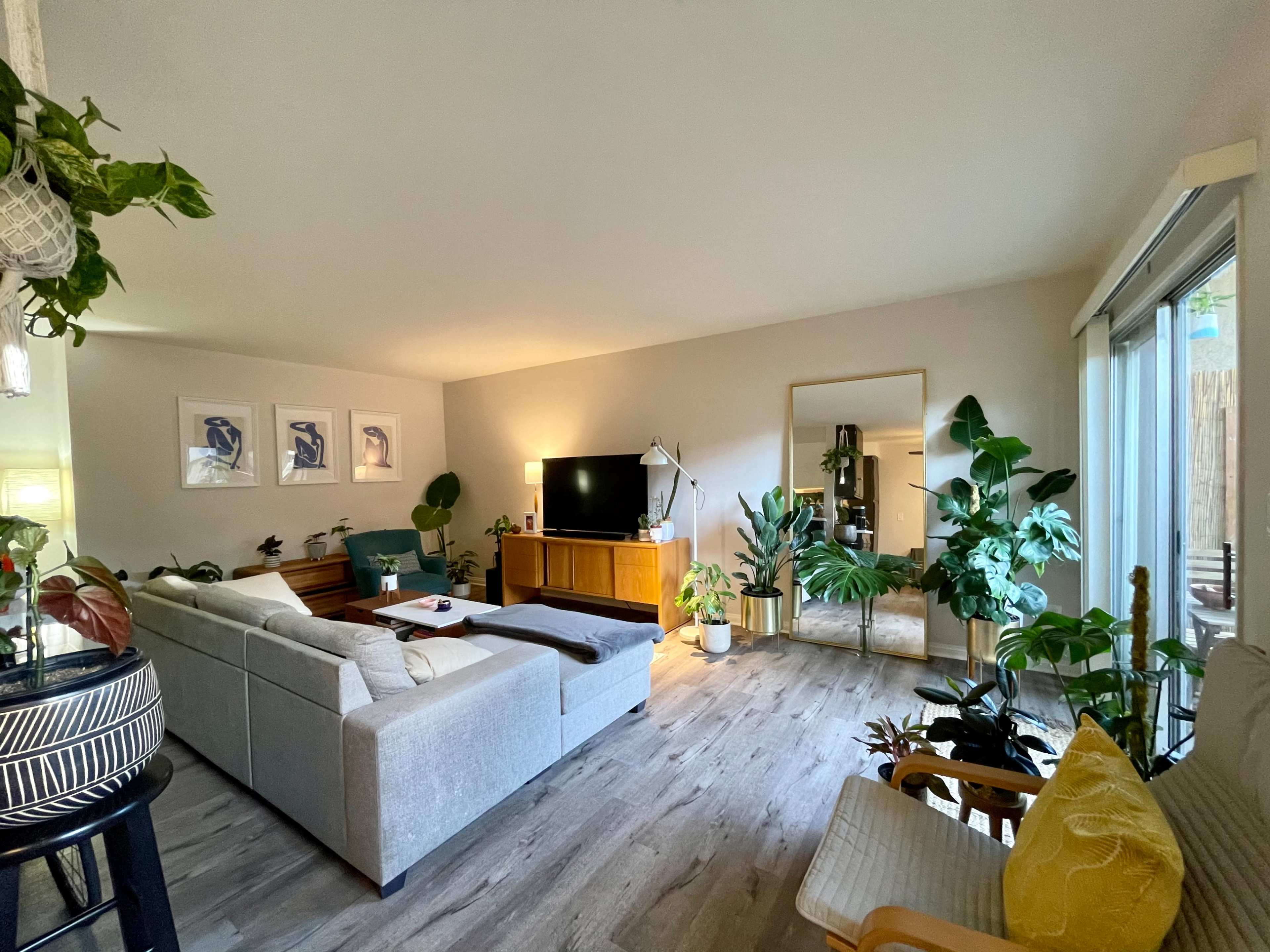 A modern living room features a sectional couch, a wooden media console, various indoor plants, and large windows providing natural light.