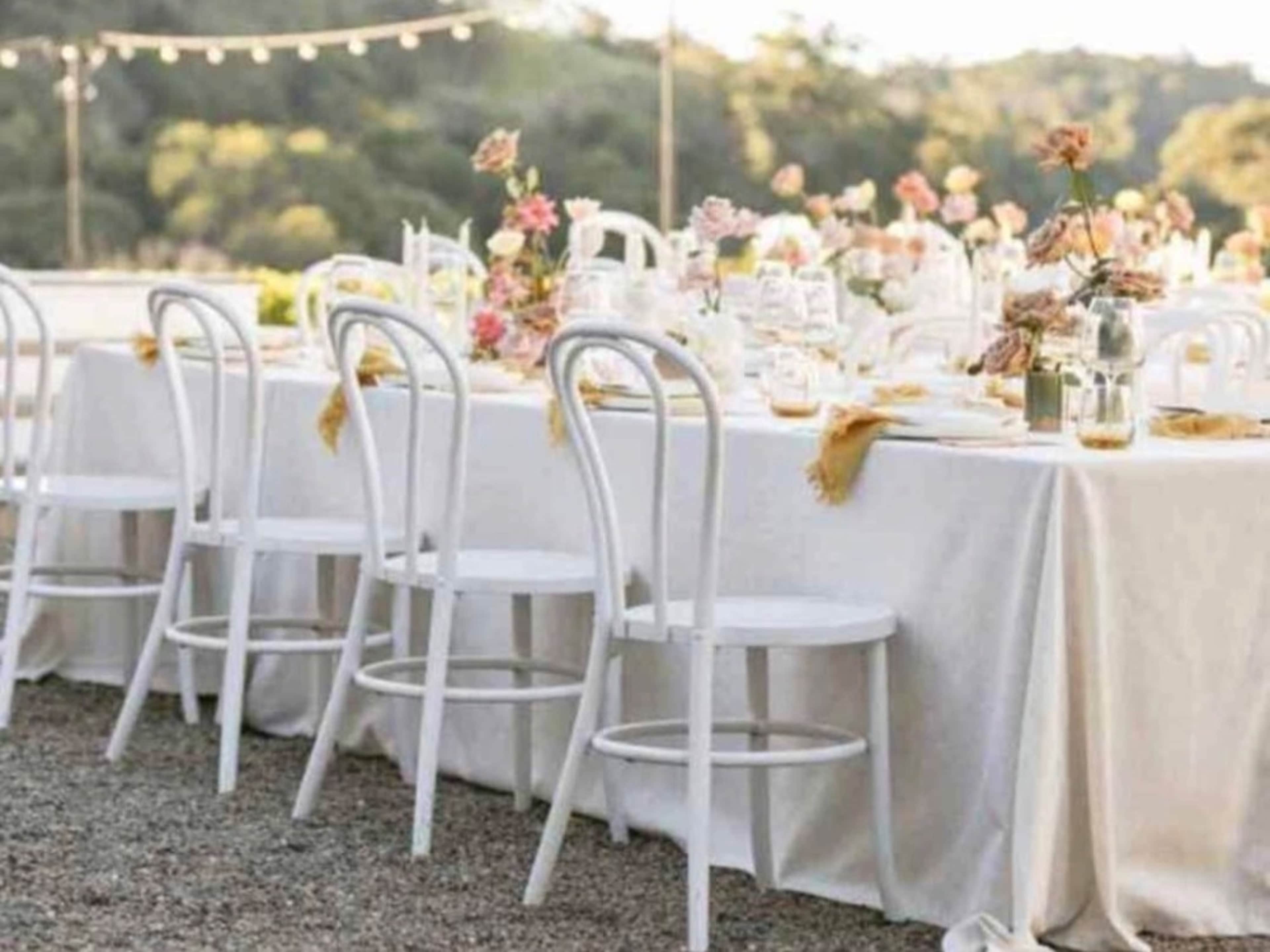White Bentwood Chairs 