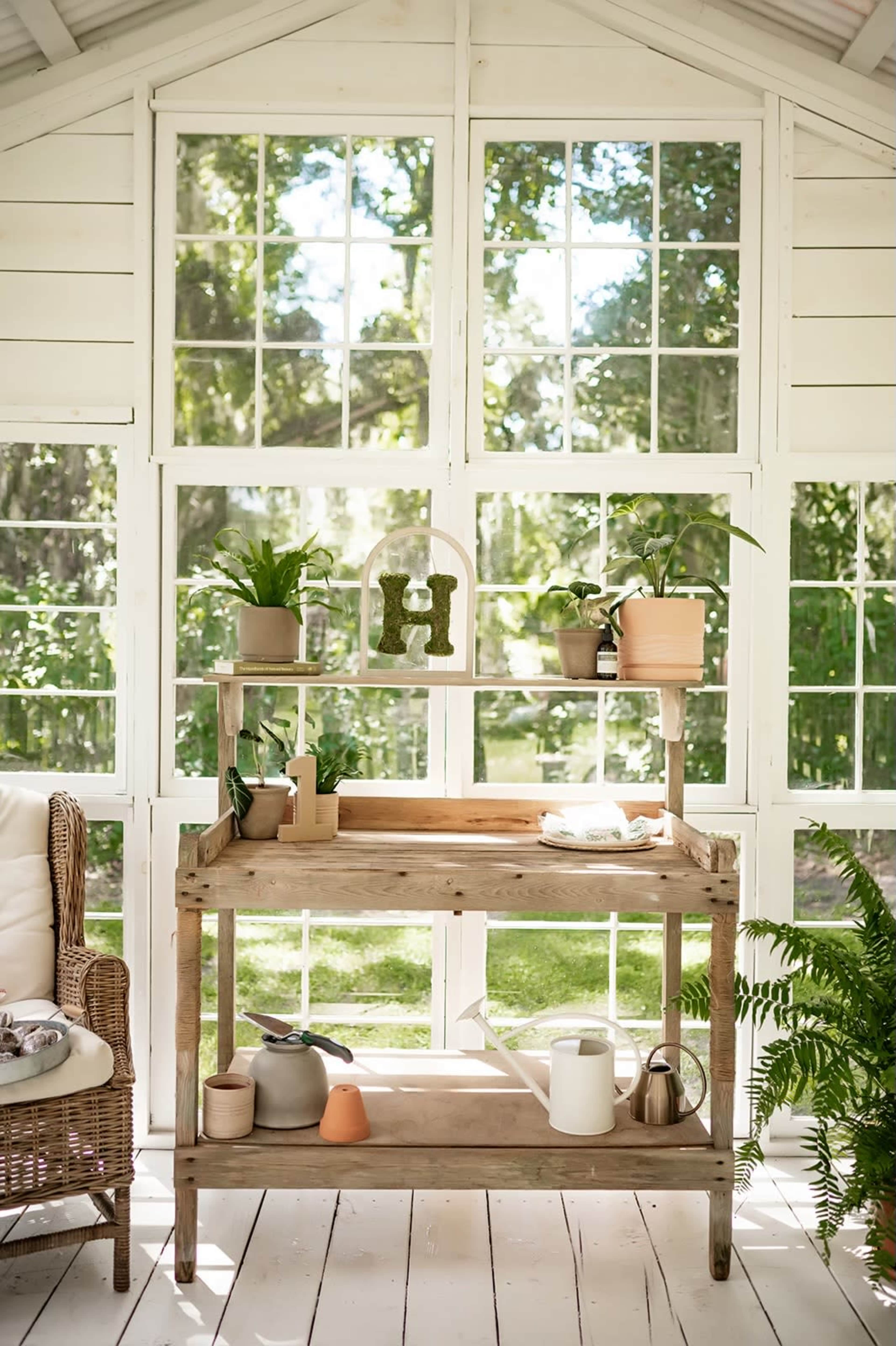 A wooden shelf with various potted plants and gardening tools is positioned in a sunlit room with large windows overlooking a green landscape.