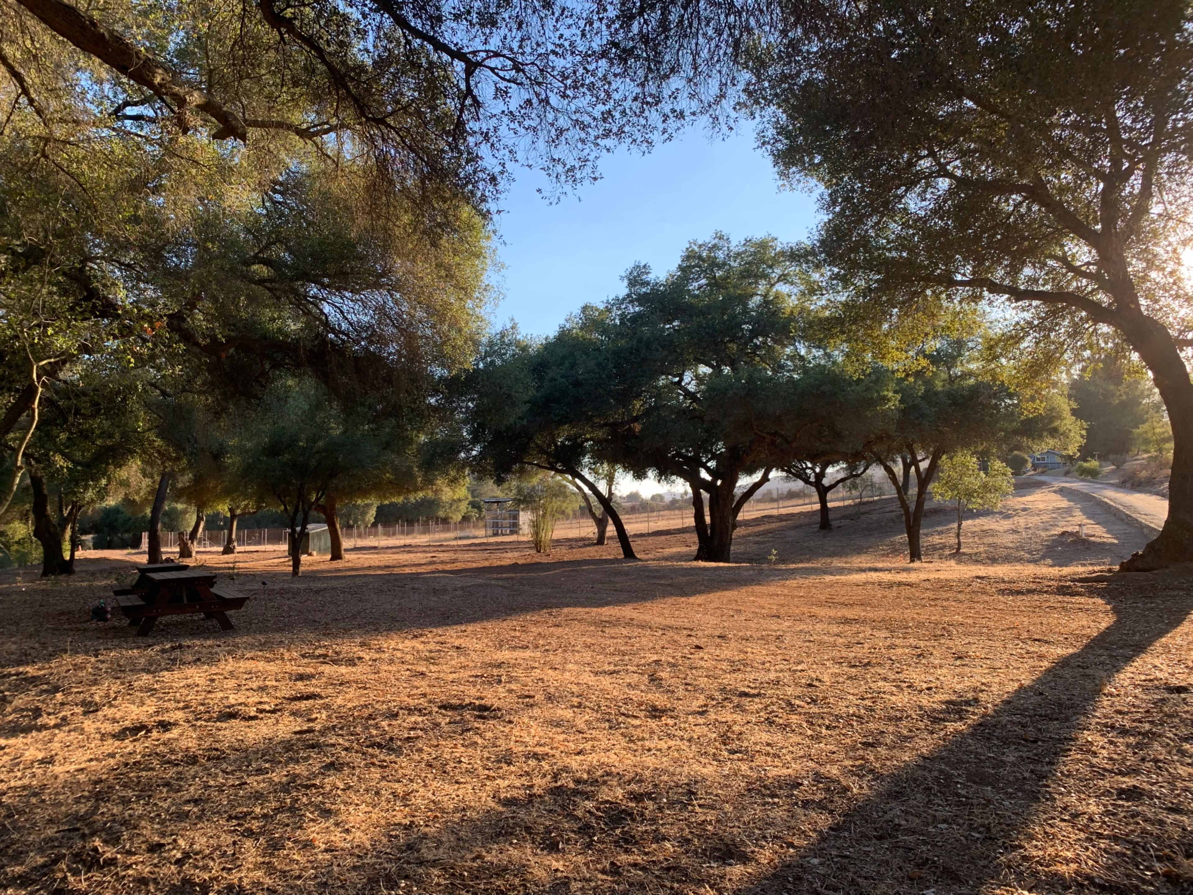 Oak Meadow Park Image in , Escondido, CA