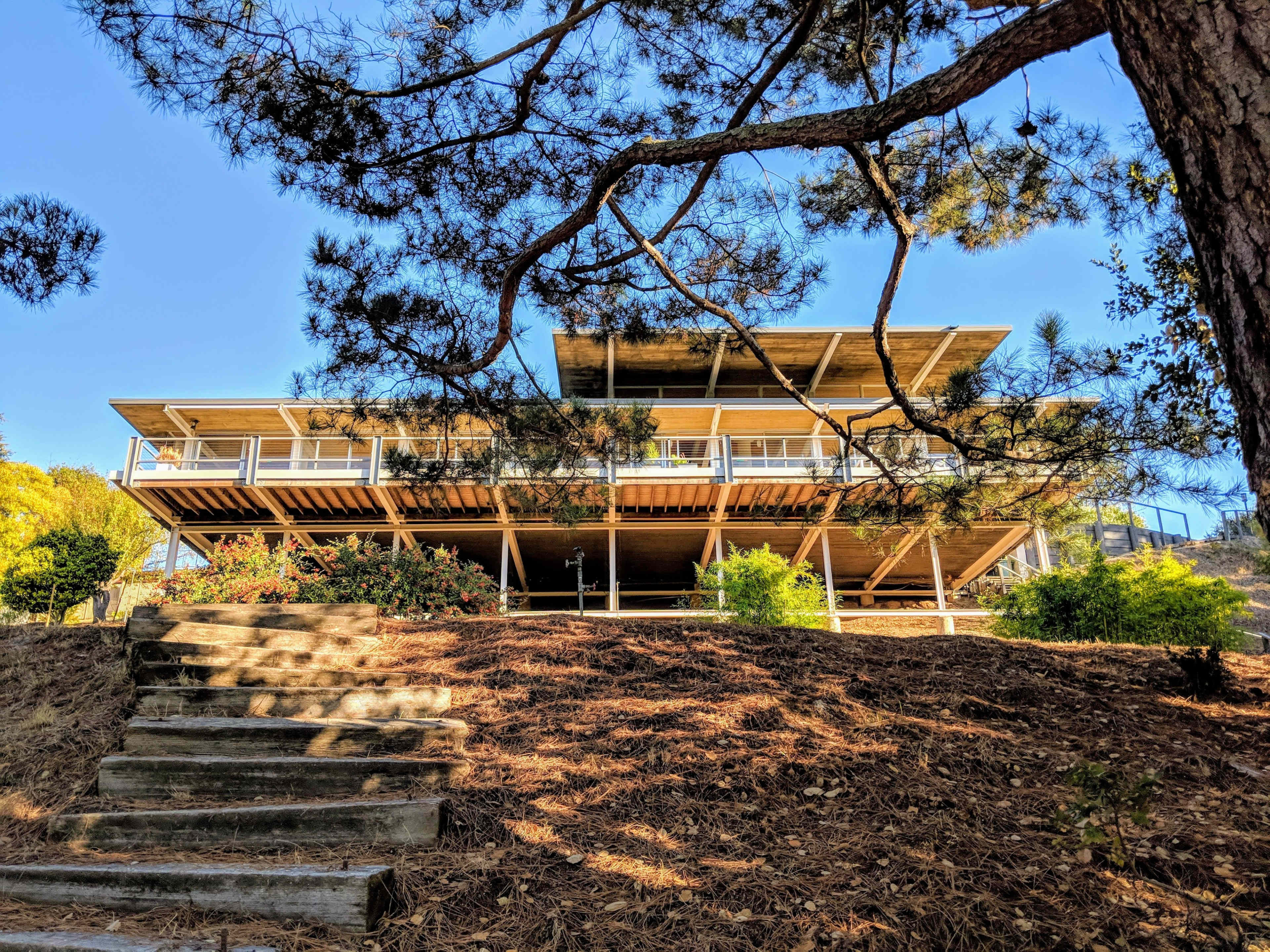 A modern wooden house with a balcony sits elevated on stilts, surrounded by trees and foliage.