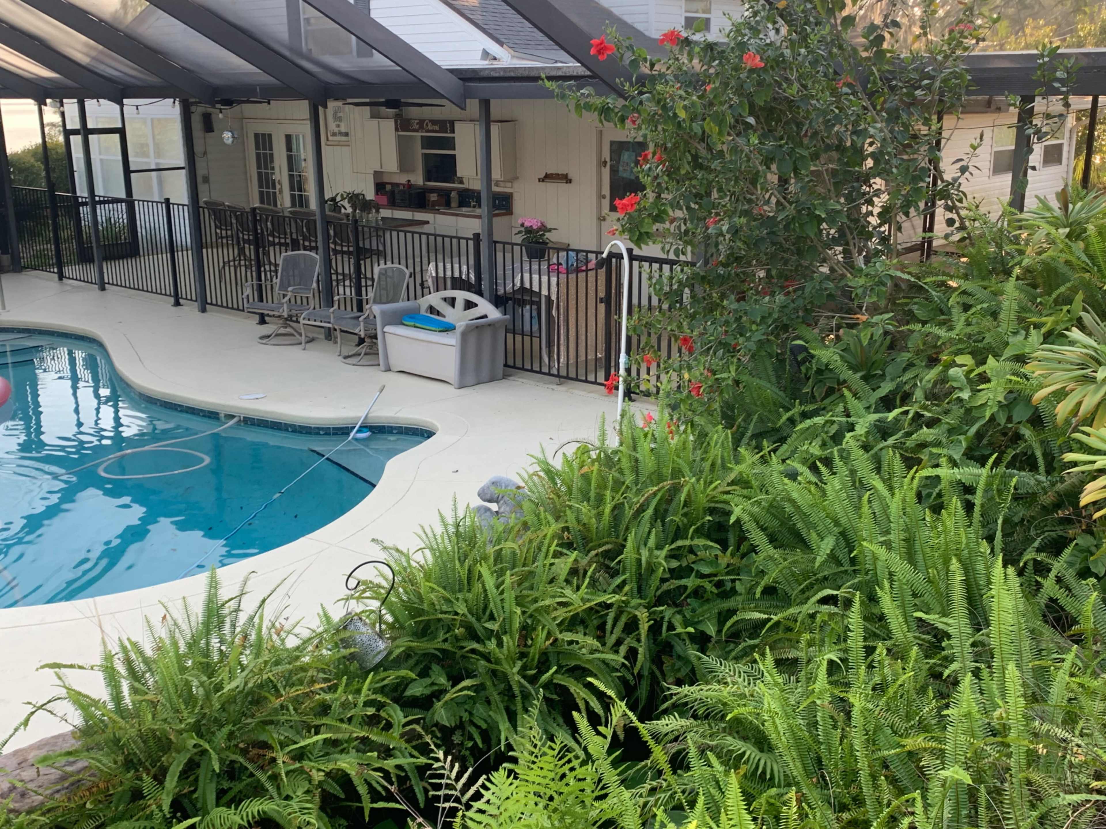 Mango Tango Estate Luxary Pool and Wedding Area Over Looking the Lake Two Studio Bedroom Luxury Suites Available For Bride and Groom Families. Image in Auburndale, Auburndale, FL
