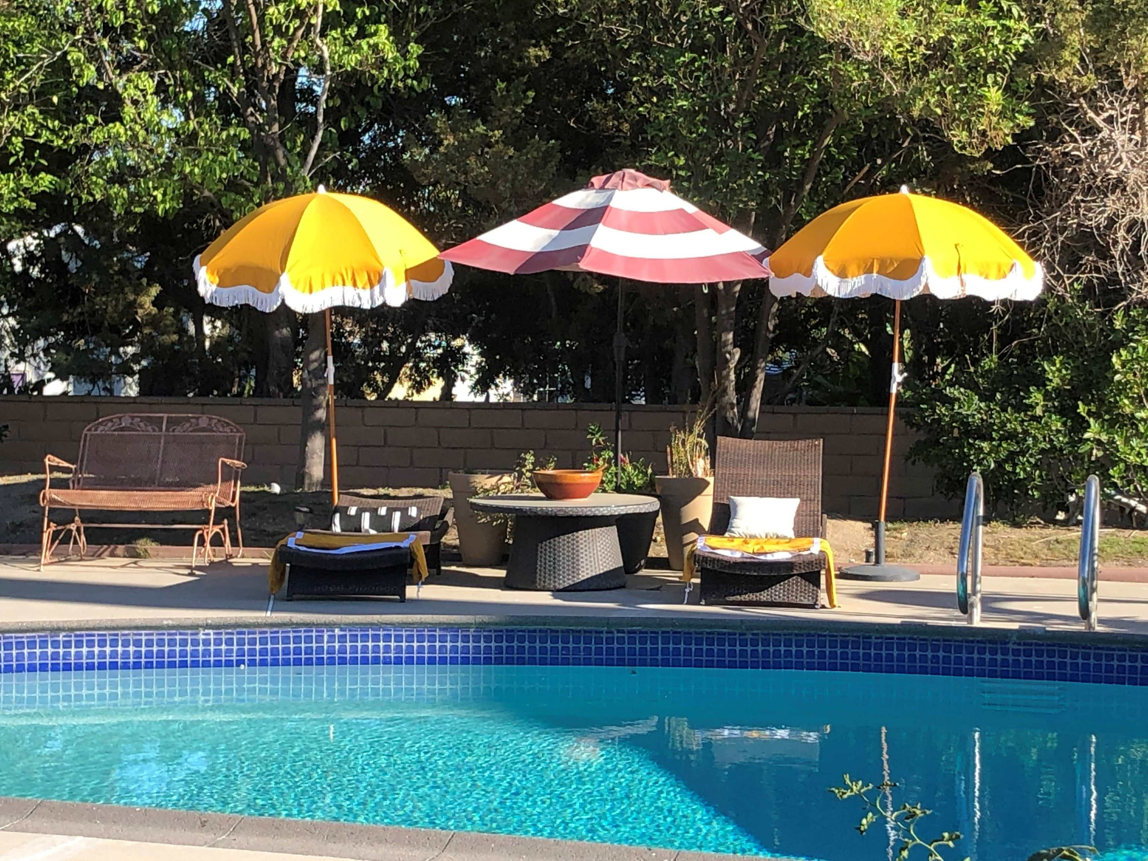 A swimming pool area with yellow and striped umbrellas, lounge chairs, and potted plants surrounded by greenery.