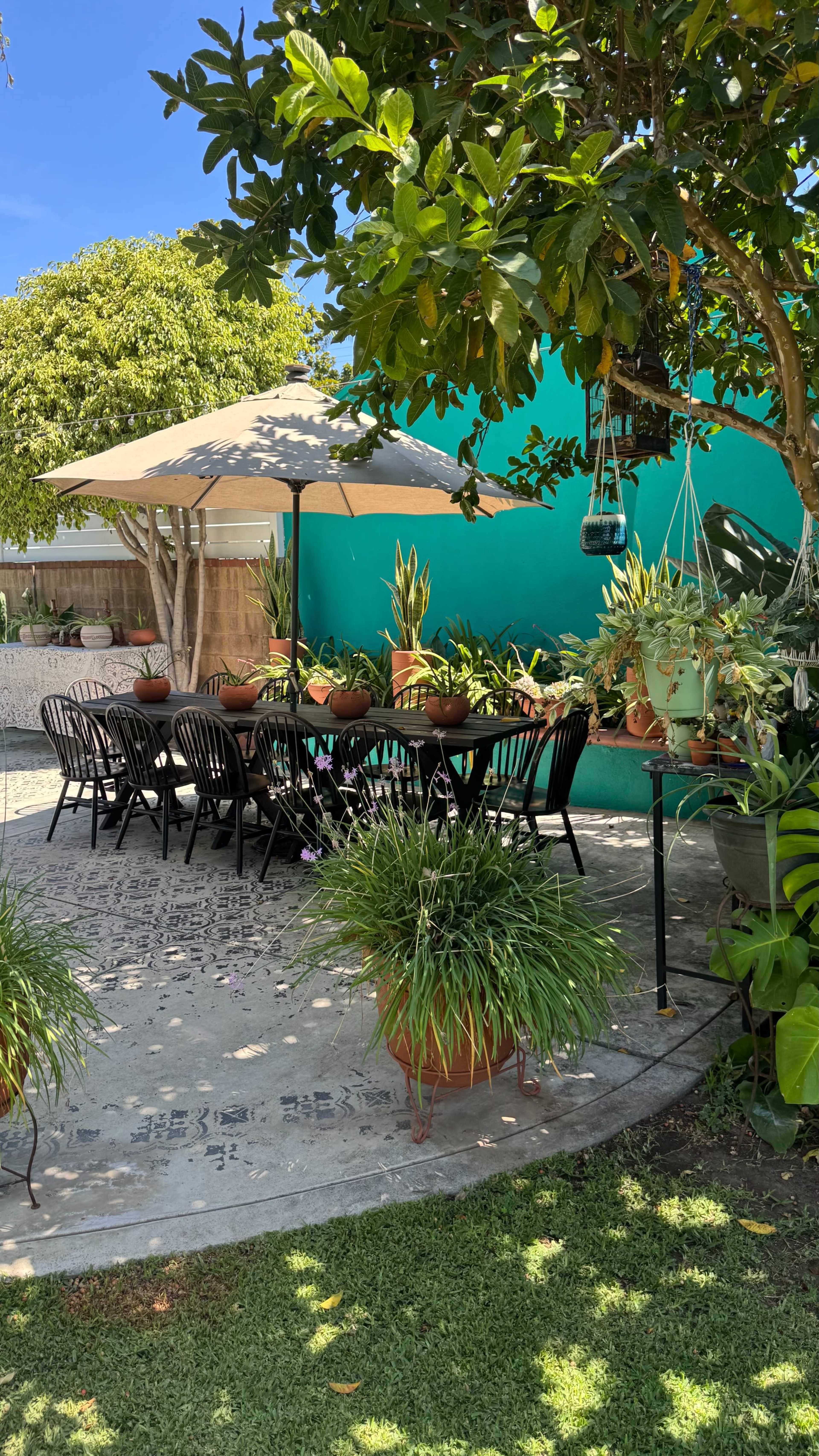 The scene features a patio with a large table surrounded by black chairs, an umbrella for shade, and various potted plants, all set against a vibrant green wall.