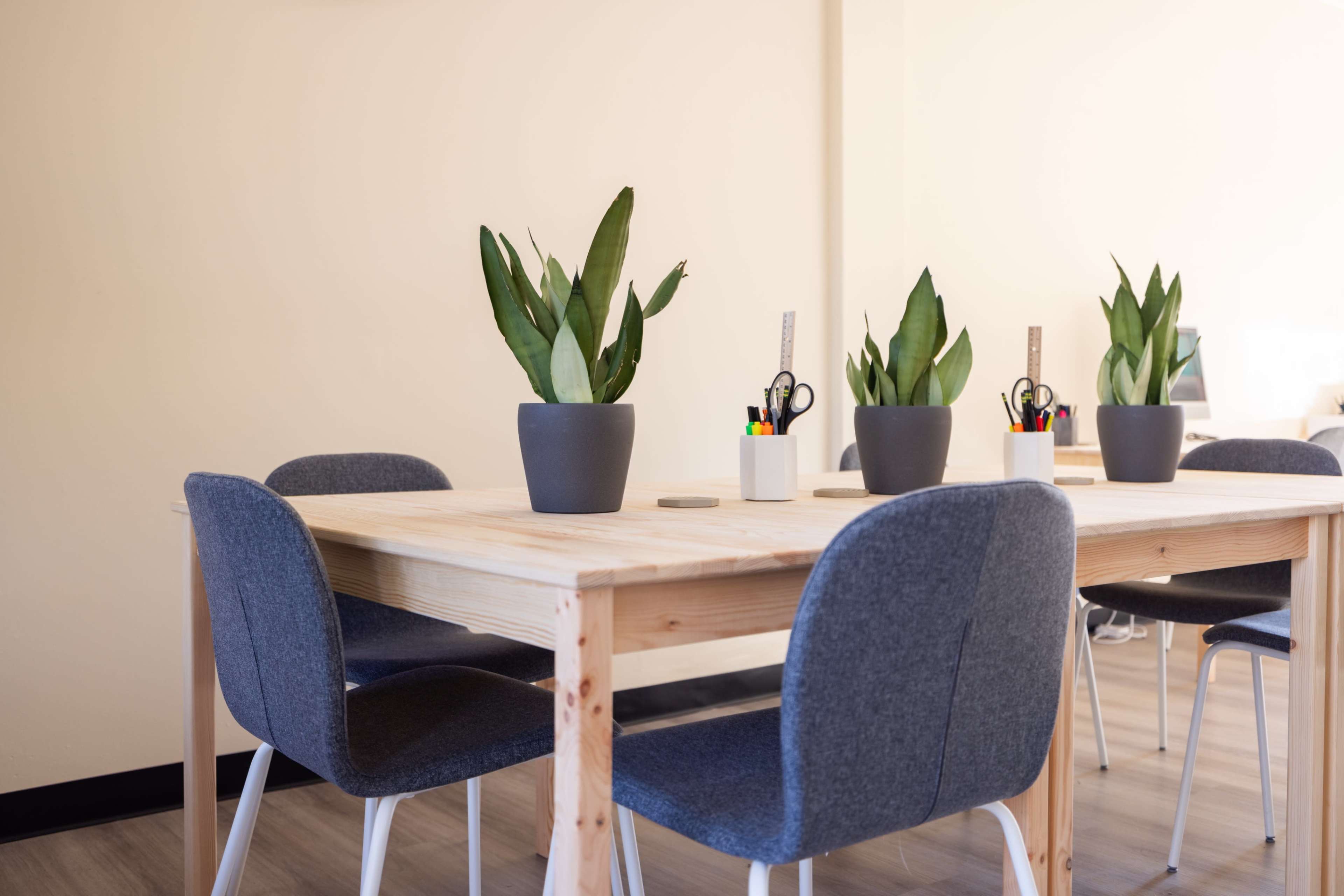 A modern workspace features a wooden table surrounded by four gray chairs, each adorned with a potted plant.