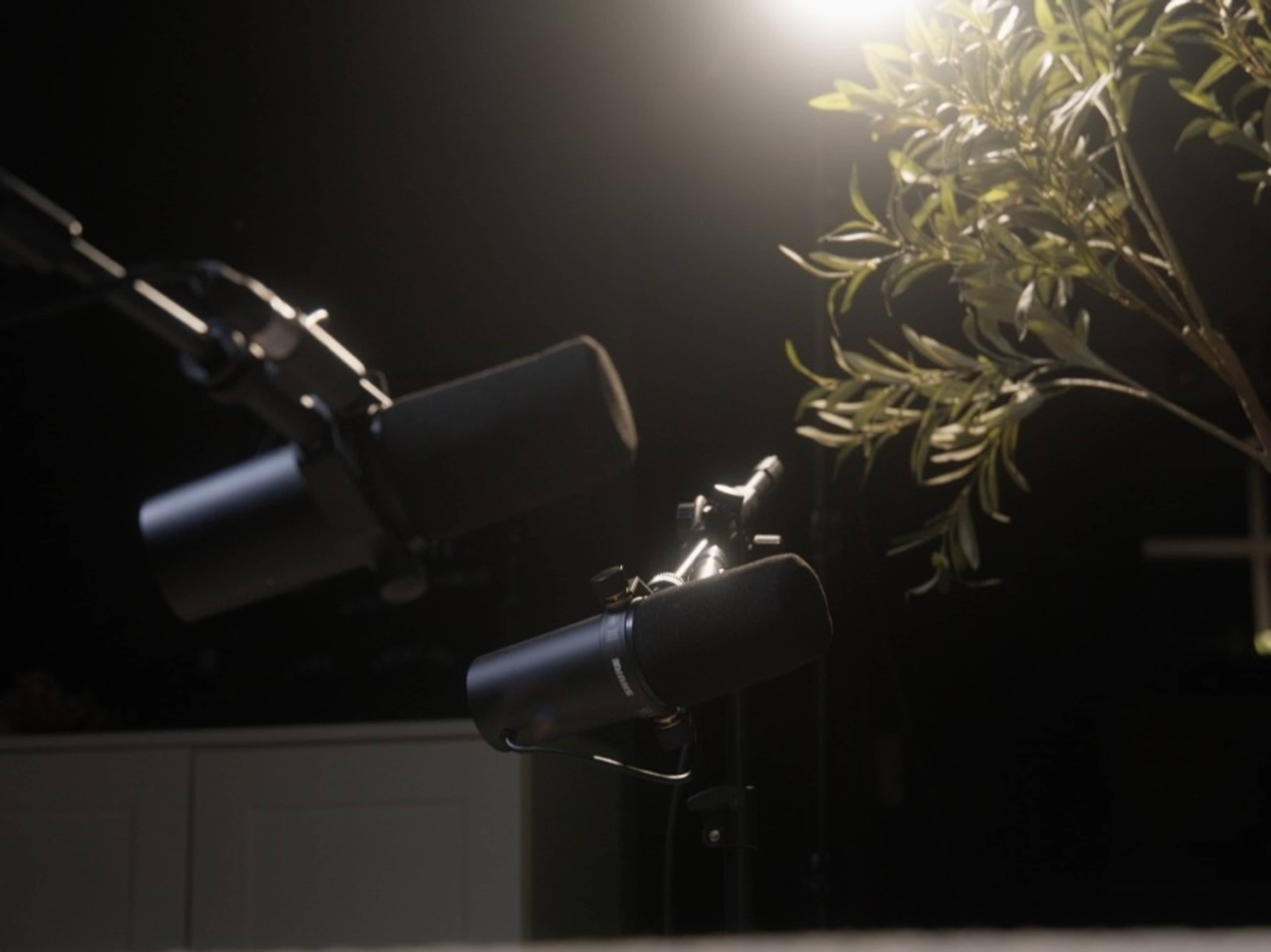 SM7B Podcasting Microphone