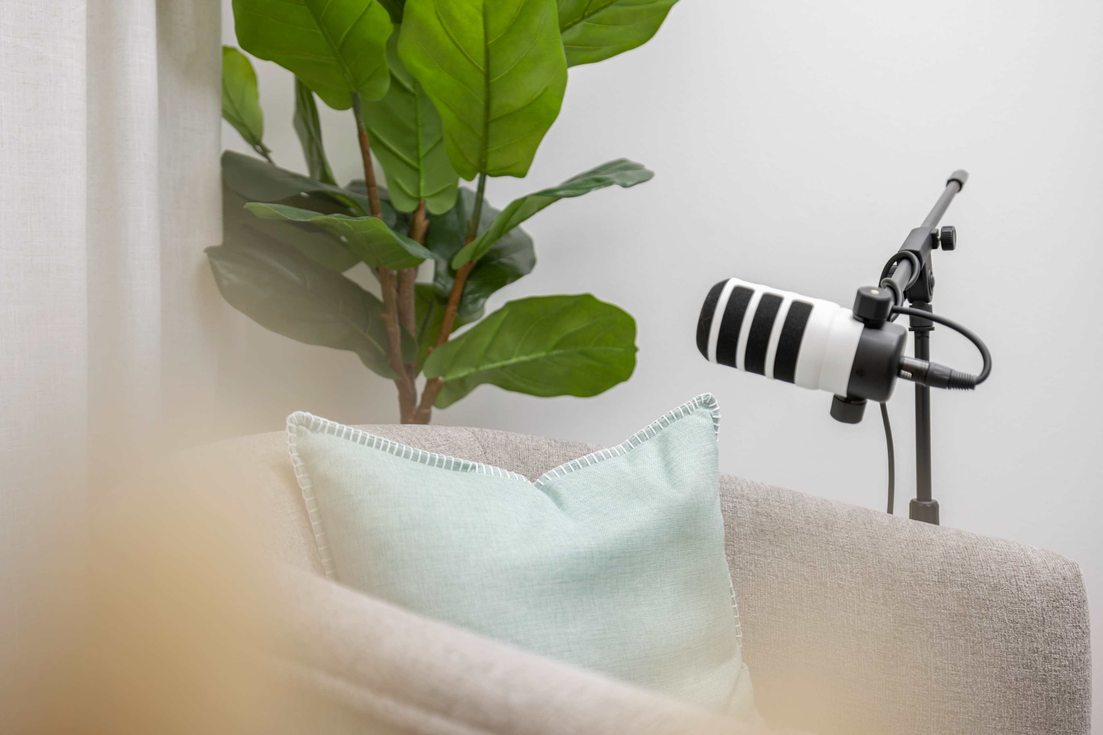 A microphone is positioned on a stand next to a potted plant and a light-colored sofa with a decorative pillow.