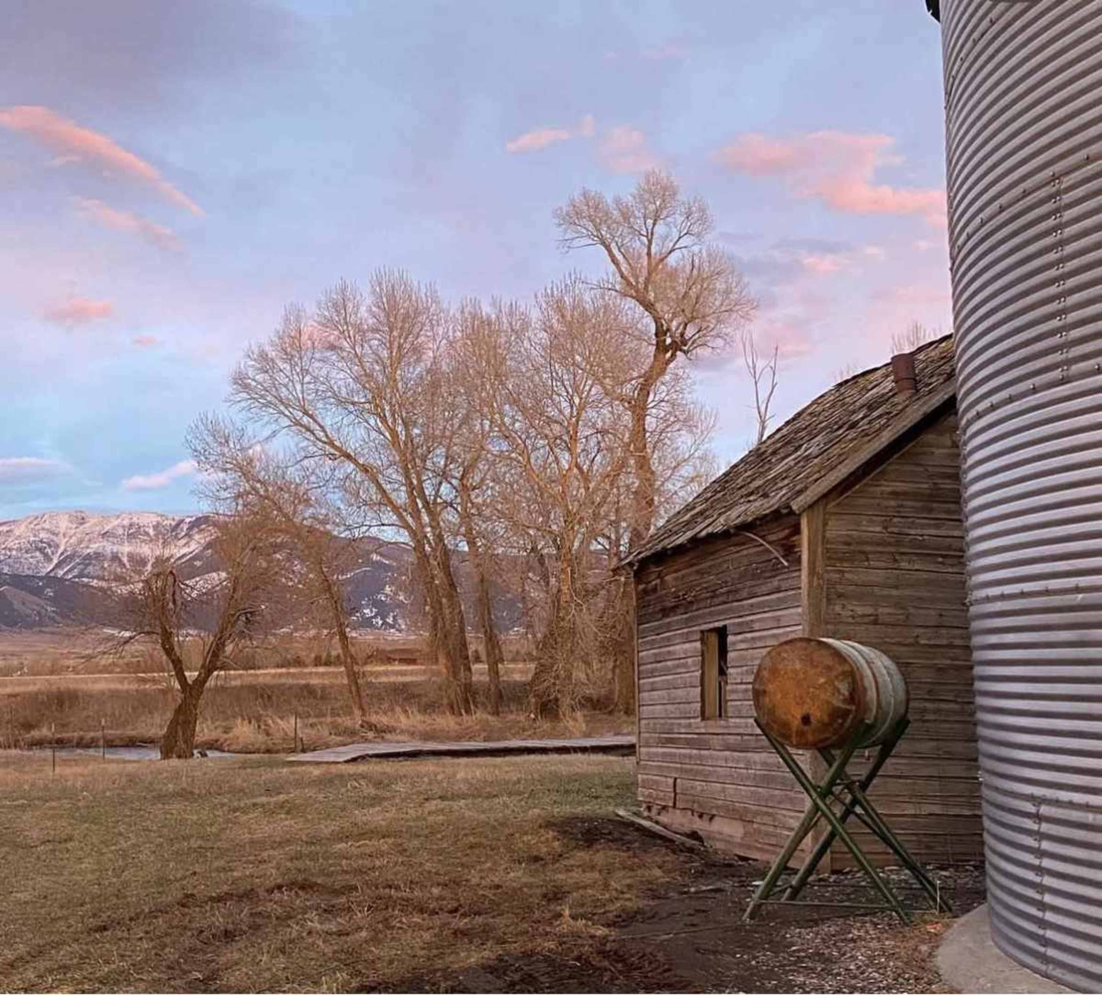 A weathered wooden barn stands beside a metal grain silo, with bare trees and snow-capped mountains in the background under a pastel sky.