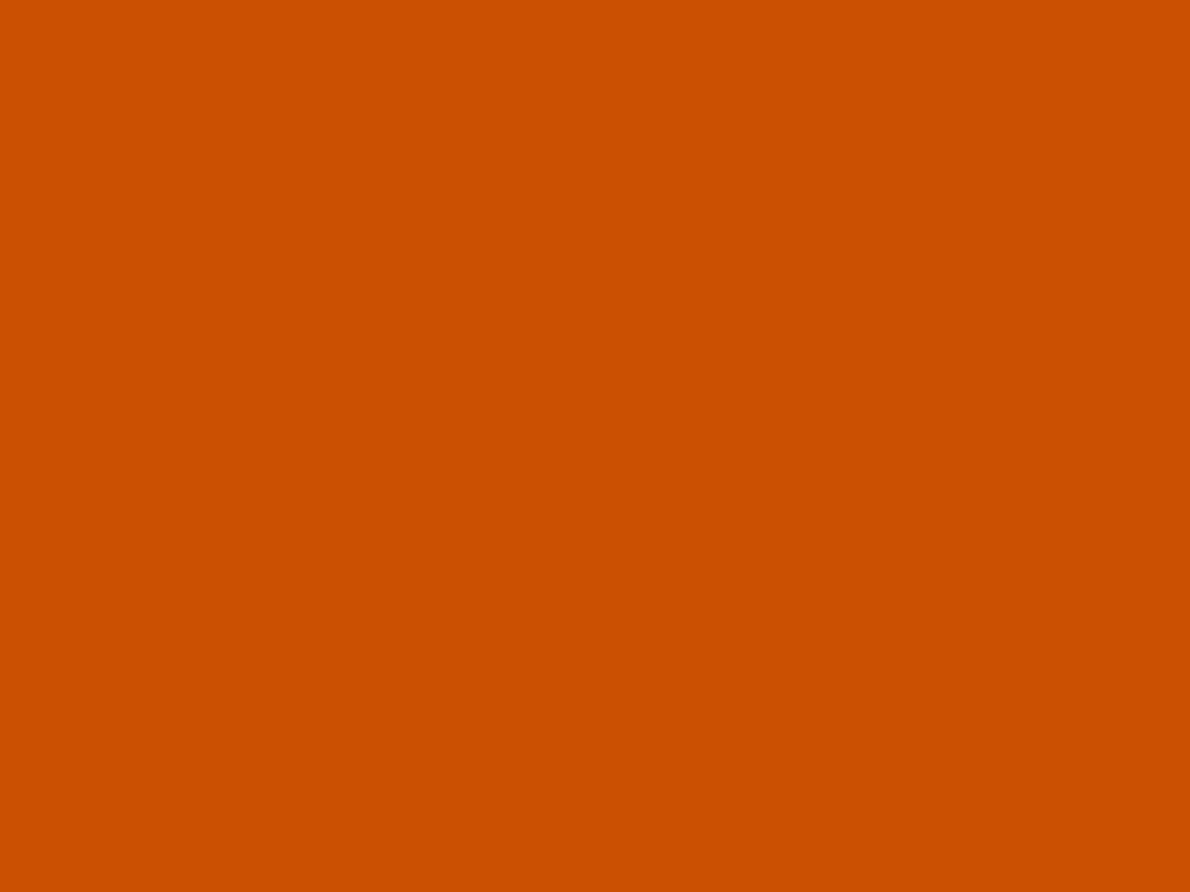Orange Seamless Backdrop Paper