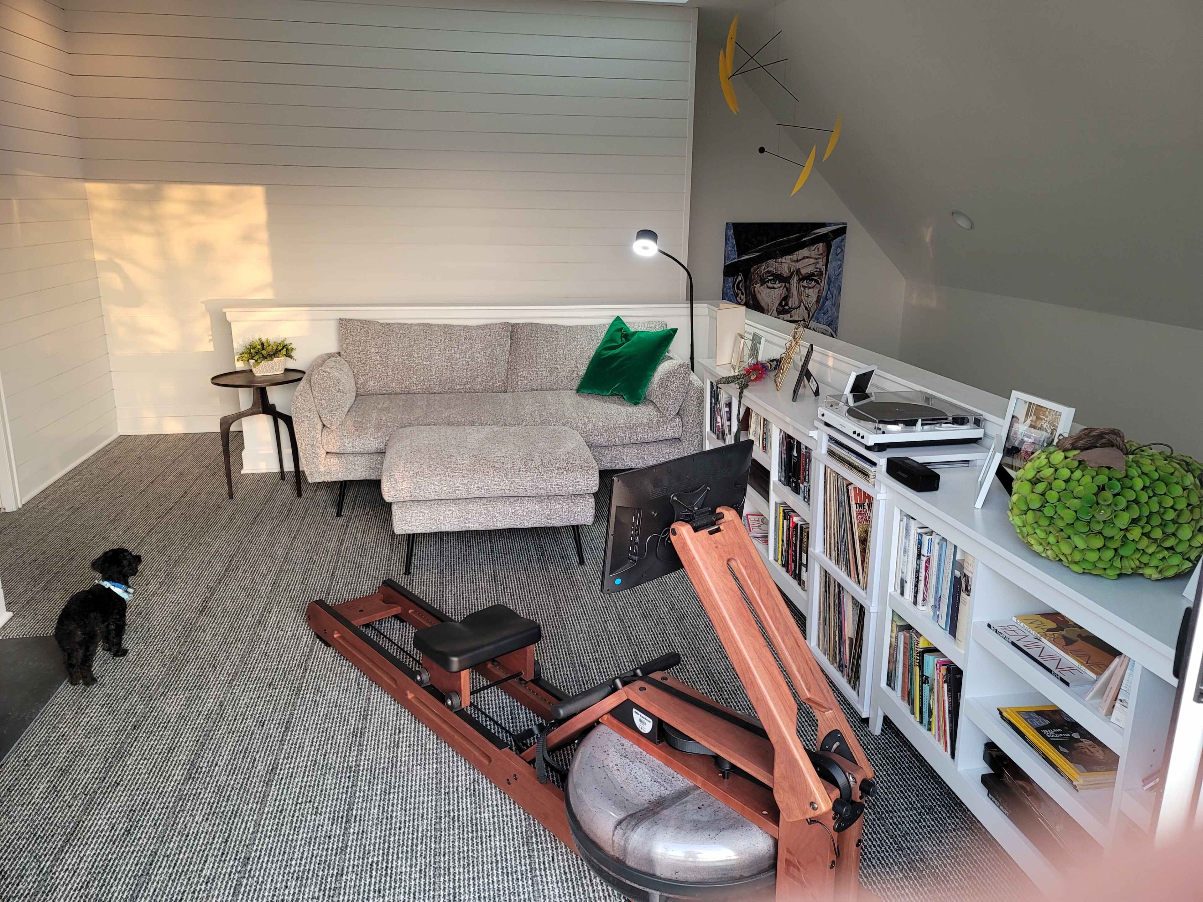 A cozy room featuring a gray couch, a wooden rowing machine, a bookshelf filled with books, and a small decorative plant, with a dog standing nearby.