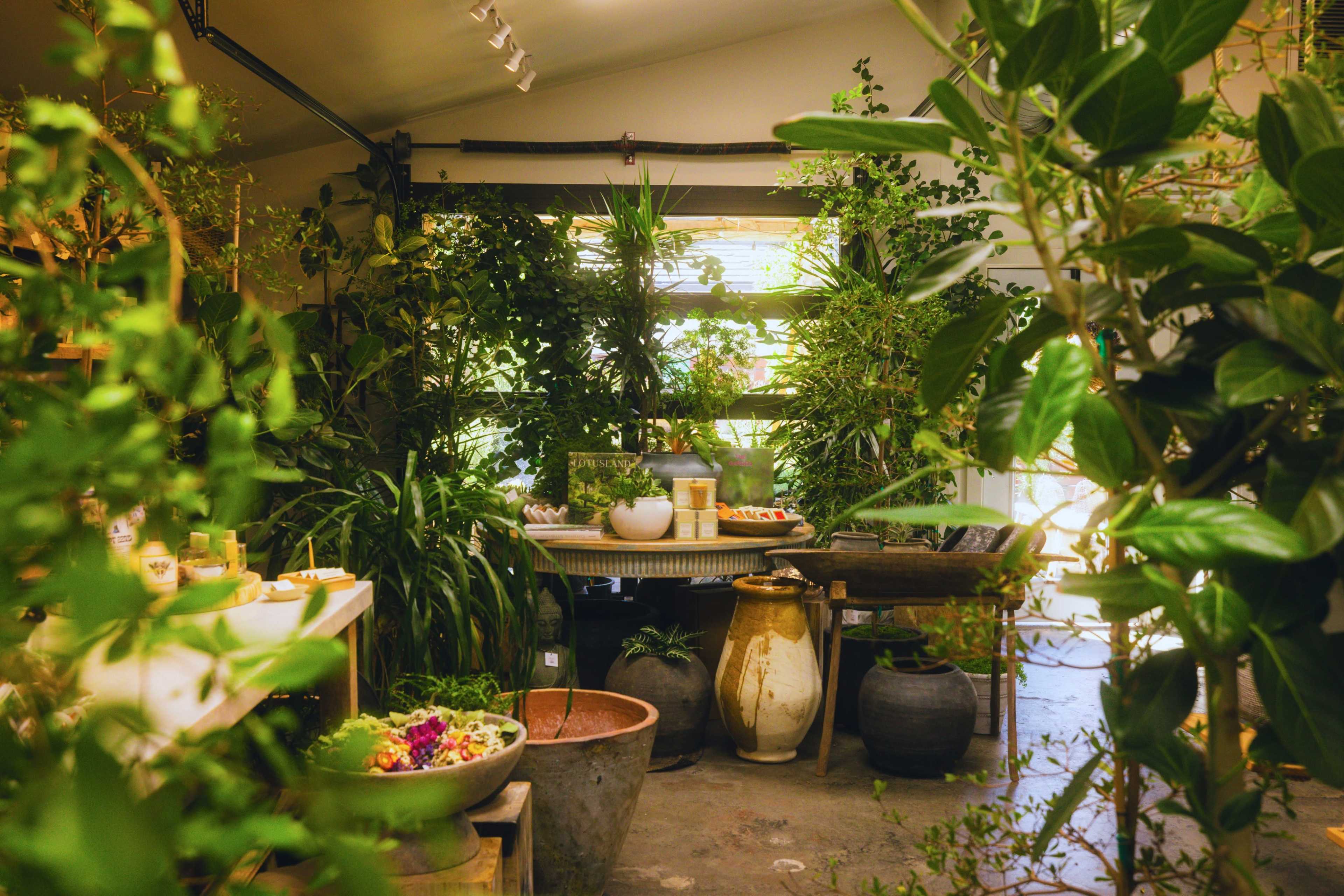 The image features a greenhouse-like indoor space filled with various plants and greenery, alongside tables displaying pots and gardening supplies.