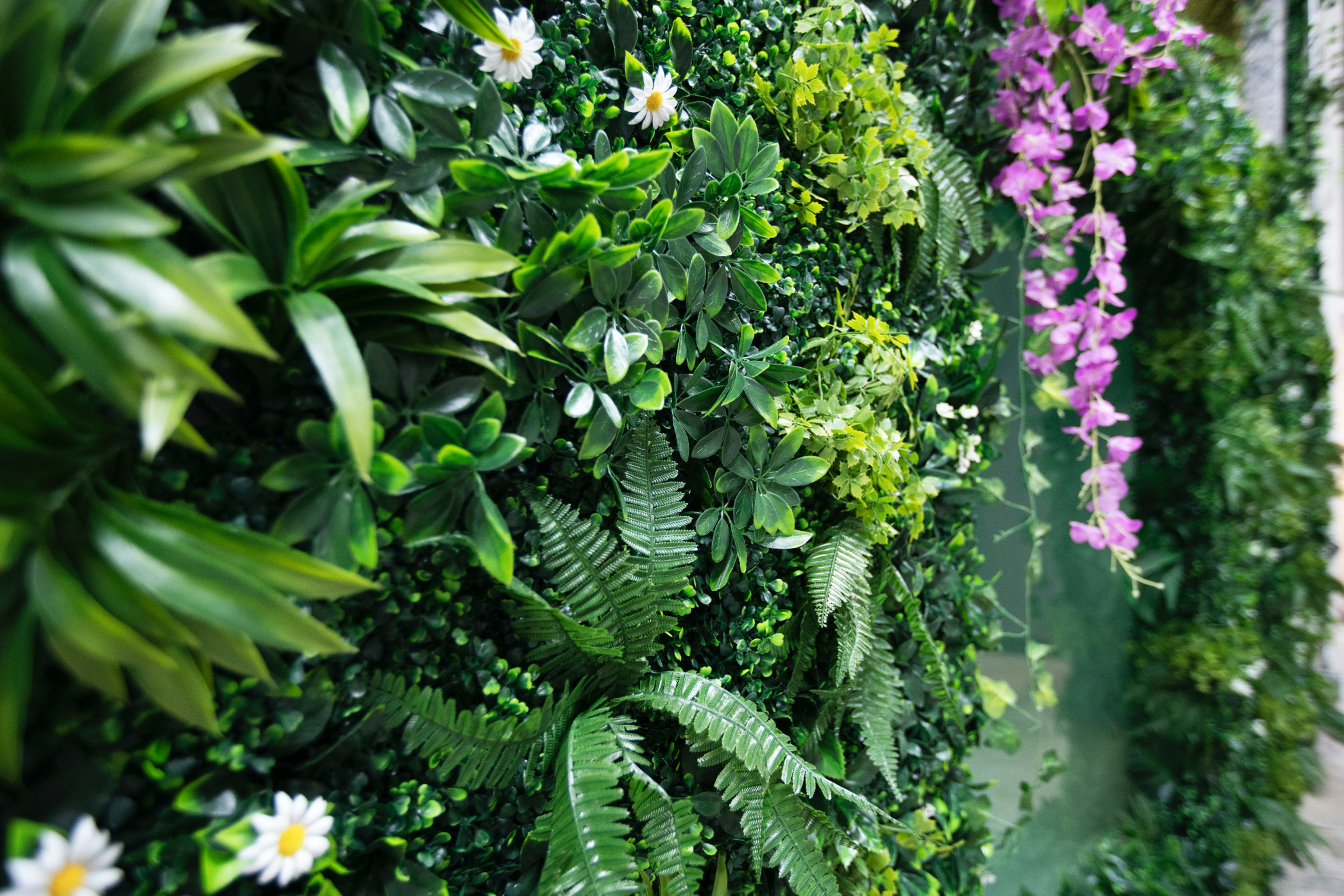 The image features a vertical wall covered with a variety of green foliage and pink flowers.