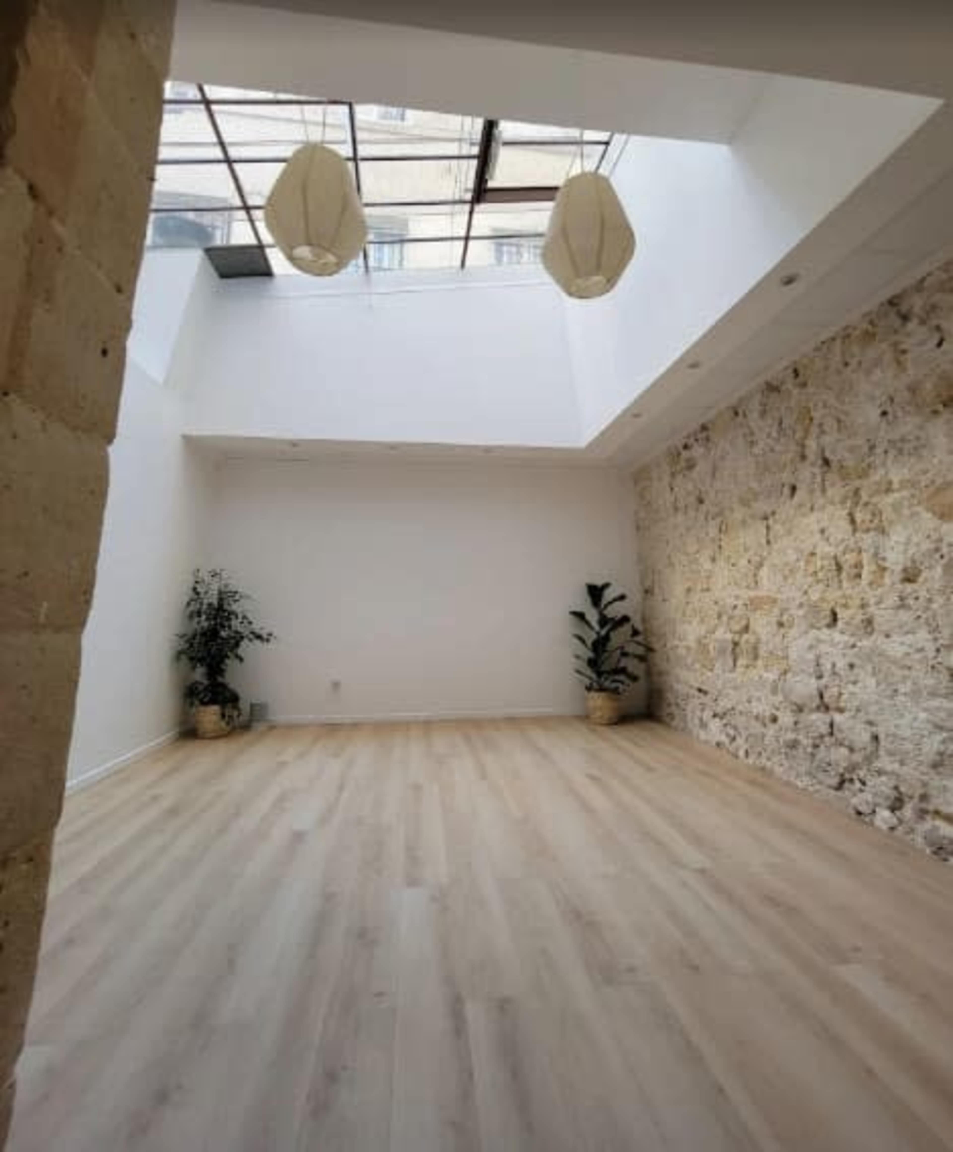The image shows a bright, minimalist interior space with light wooden floors, a stone wall, and two plants in the corners.
