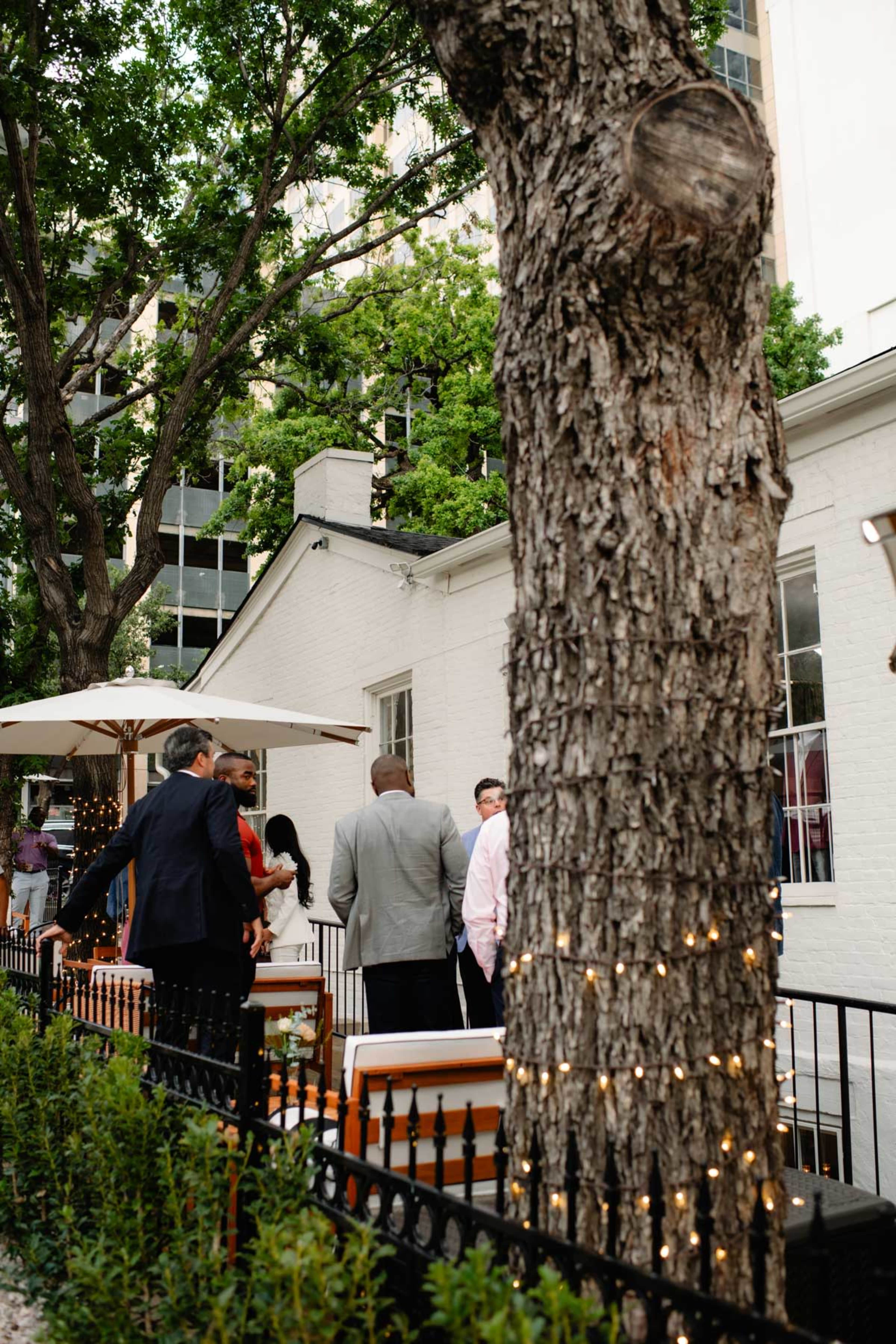 A group of people is gathered near a white building, with a large tree and string lights visible in the foreground.