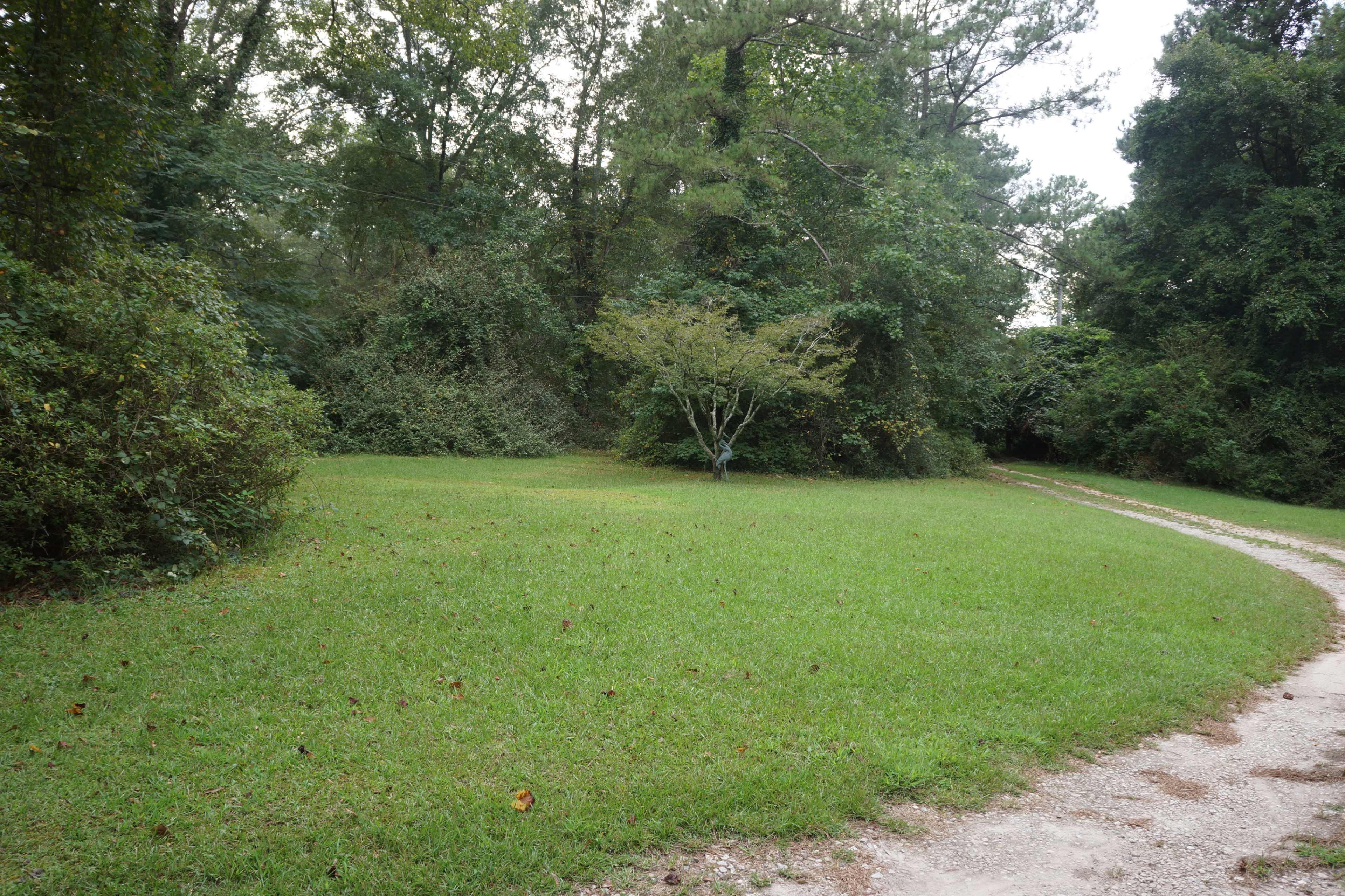 A grassy area with a winding gravel path and dense tree foliage in the background.