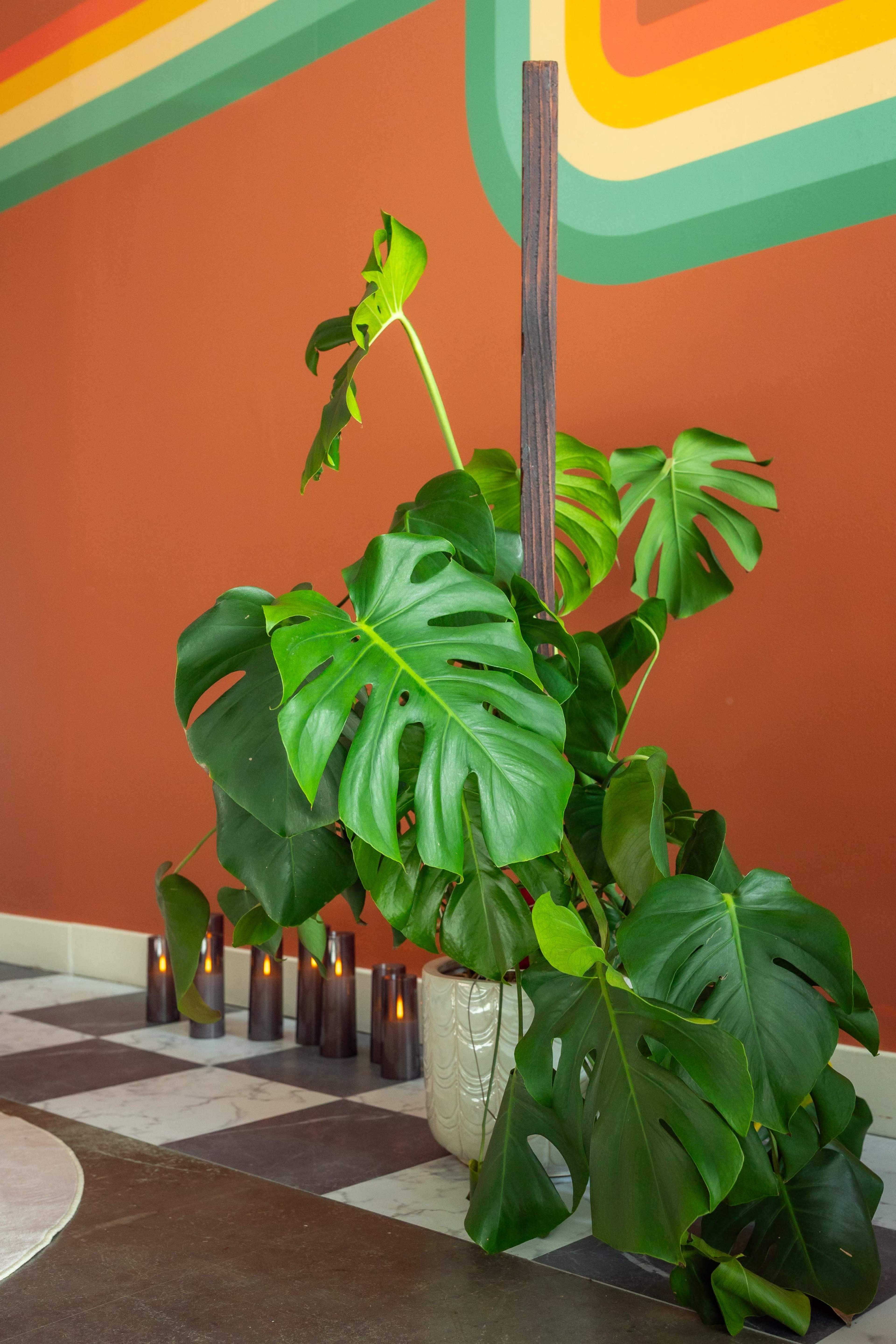 Cozy, multipurpose studio in SLC Image in Ballpark, Salt Lake City, UT