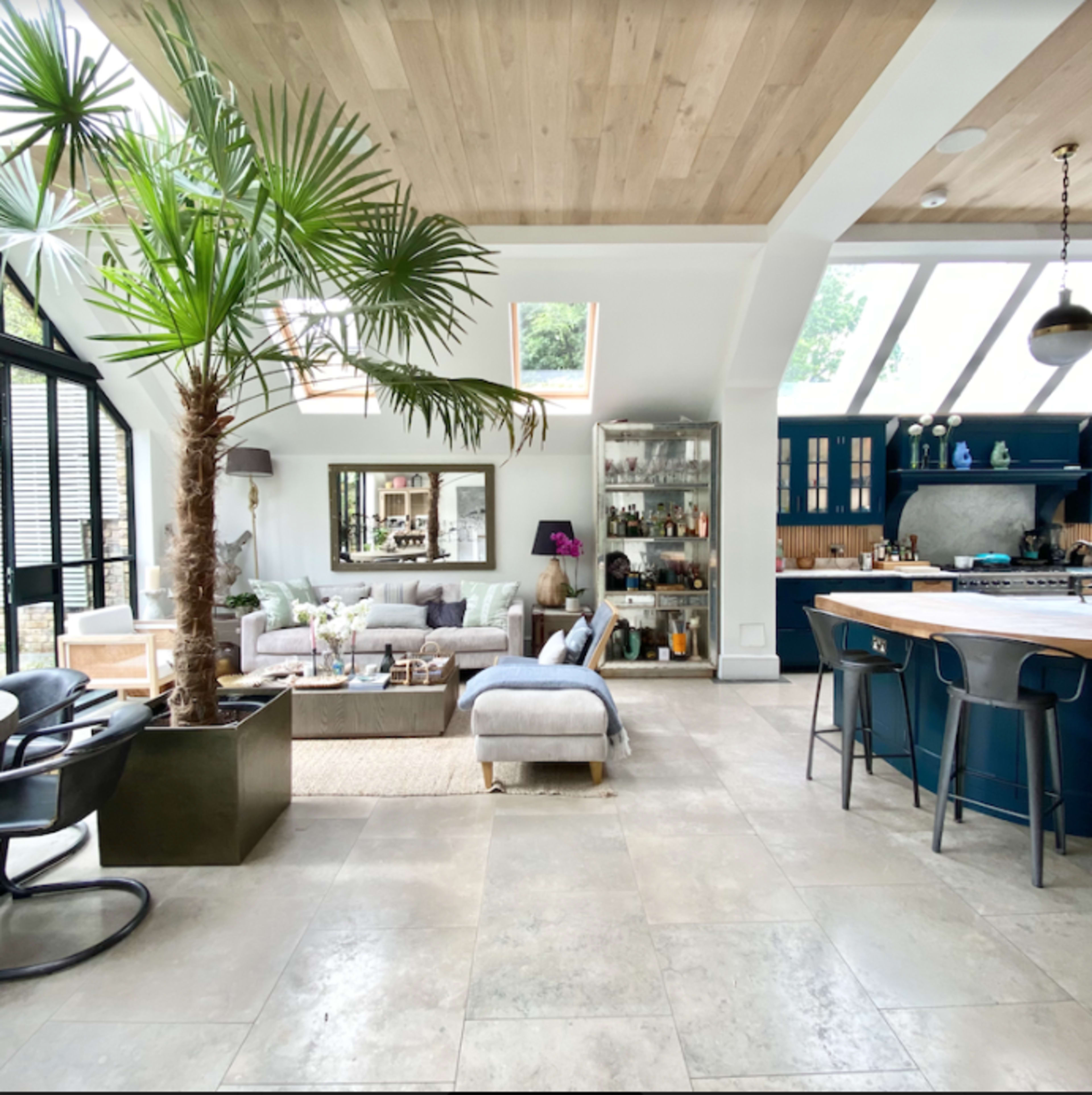 A modern open-concept living space featuring a palm tree, a seating area with a sofa and chairs, and a kitchen with a dark blue countertop.